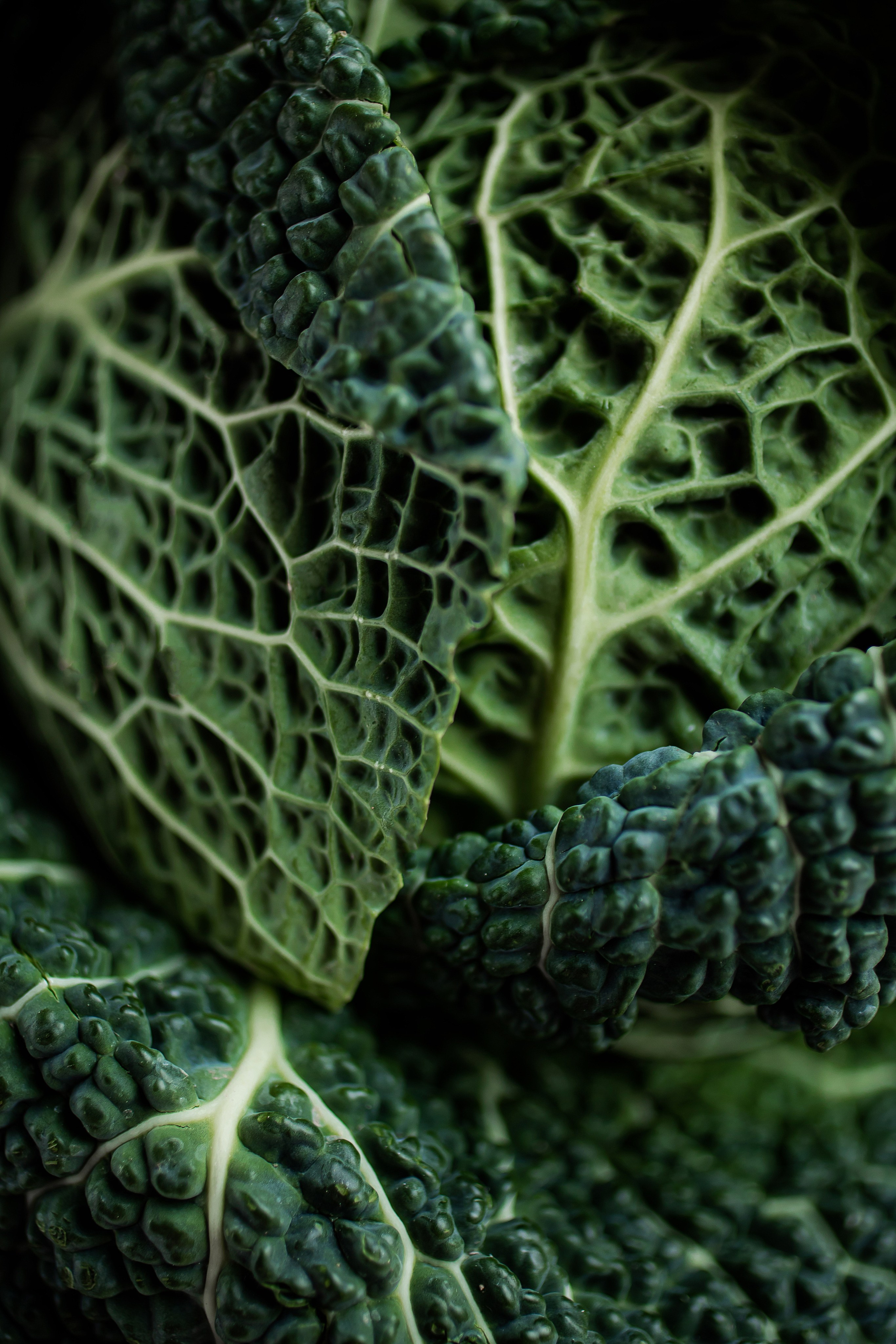 LEVELS. Фотограф Агеева Мария