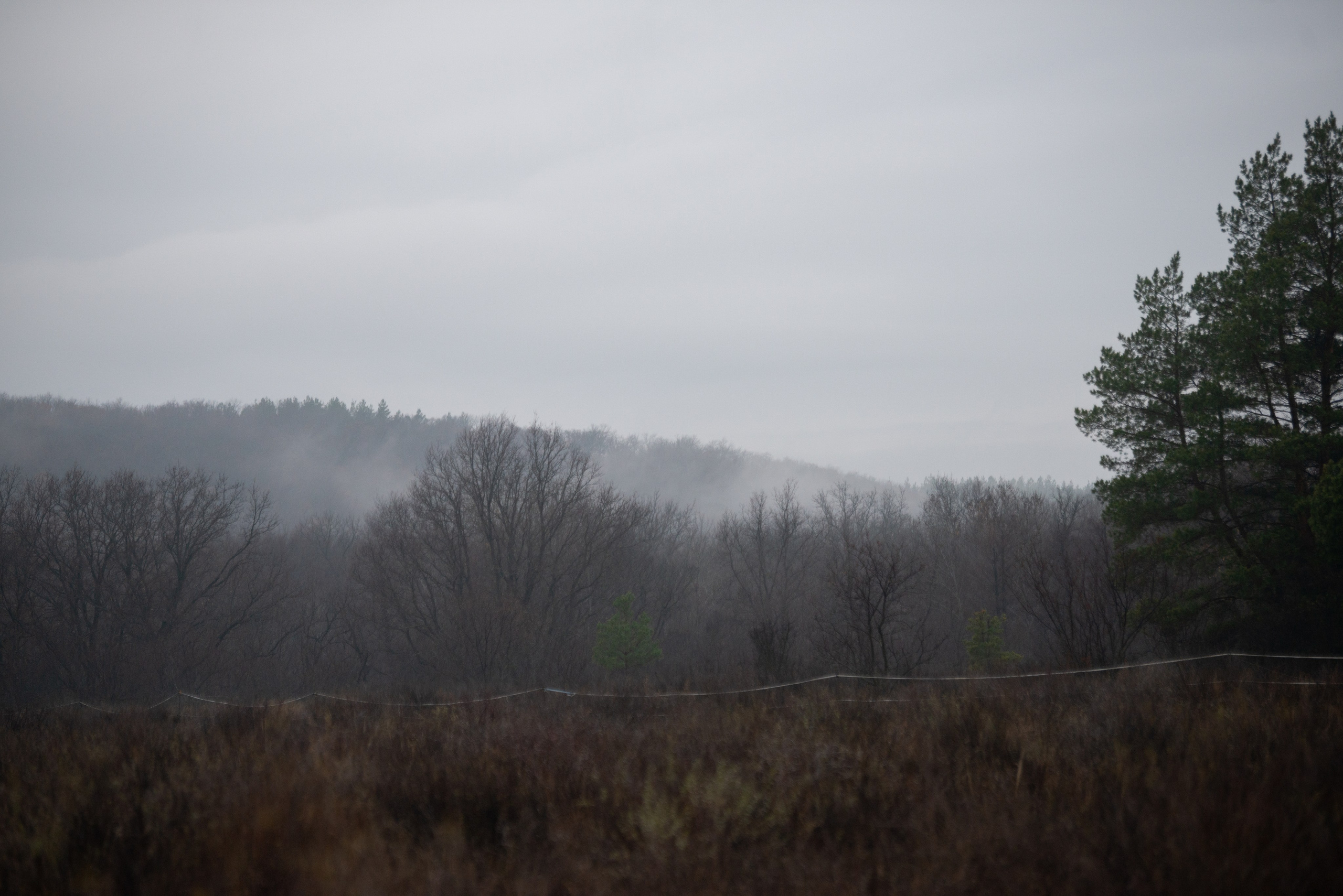 Конный лагерь в Родославном. Конный фотограф в Саратове Юлия Иванова