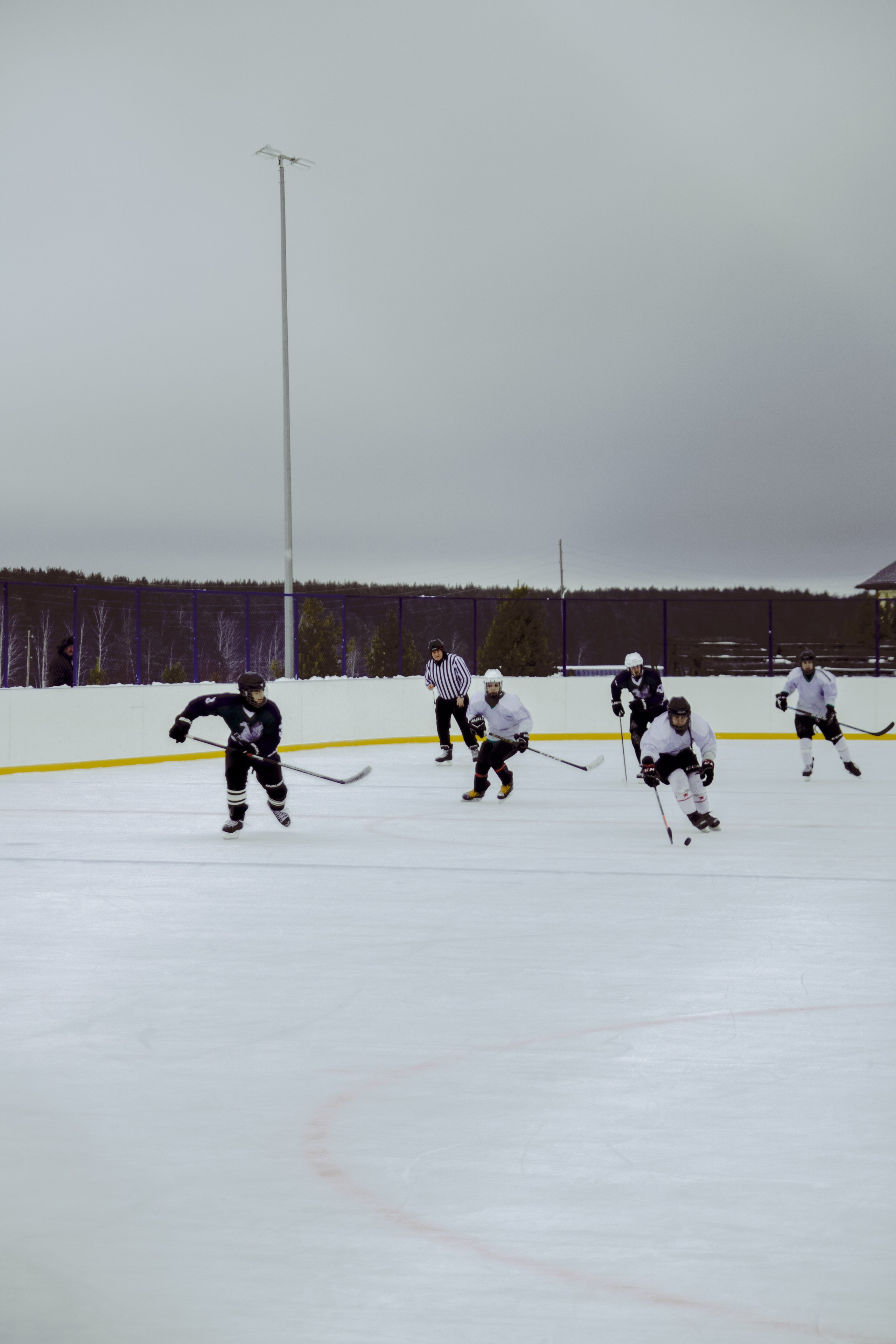 Хоккей 29.12.2024