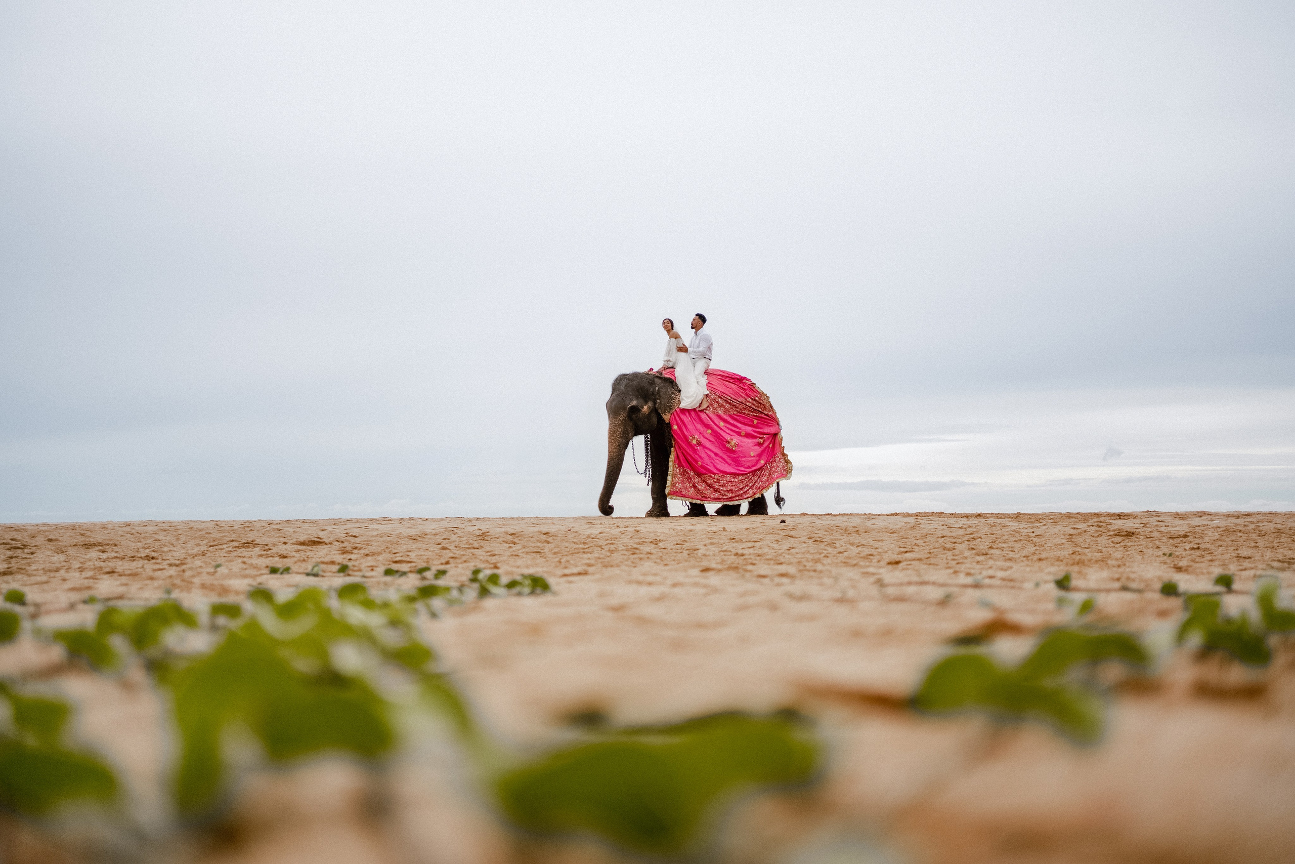 Mirza & Tamilla. Dolce_wedding