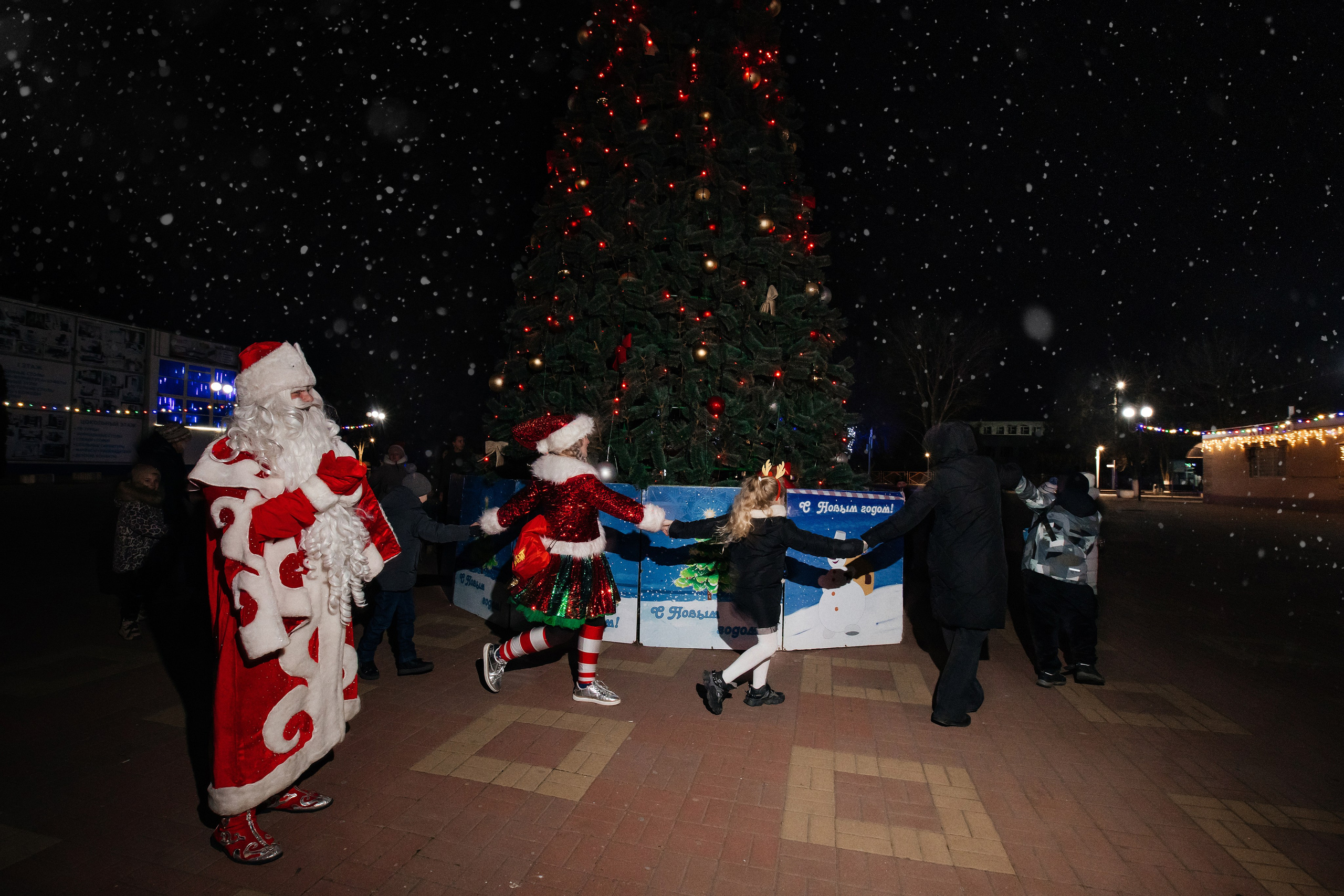 Моробус с Кульбит. Екатерина Ярковая фотограф