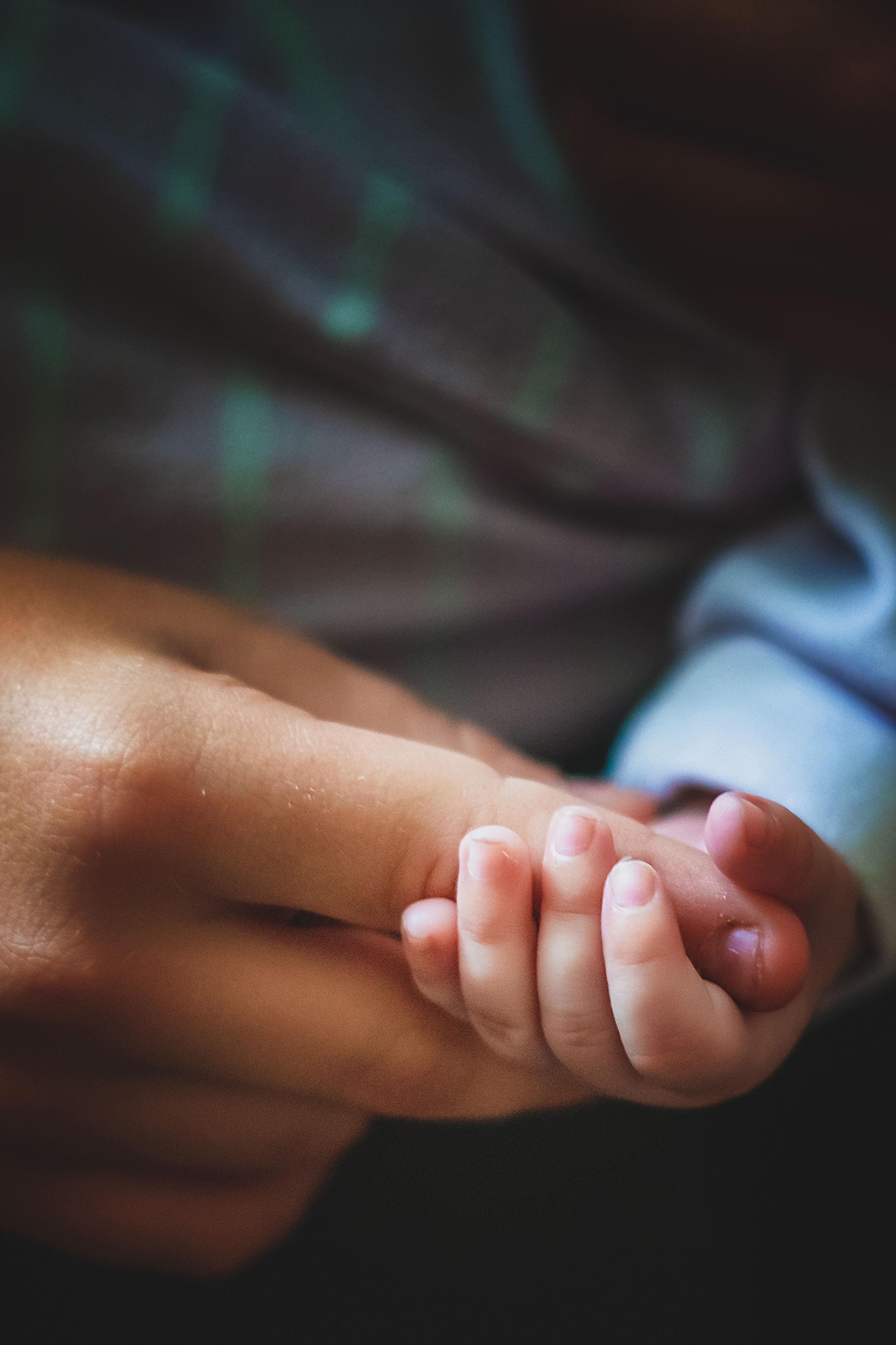 Марина и близнецы. Семейный фотограф в Алматы Анжелика Али Номан