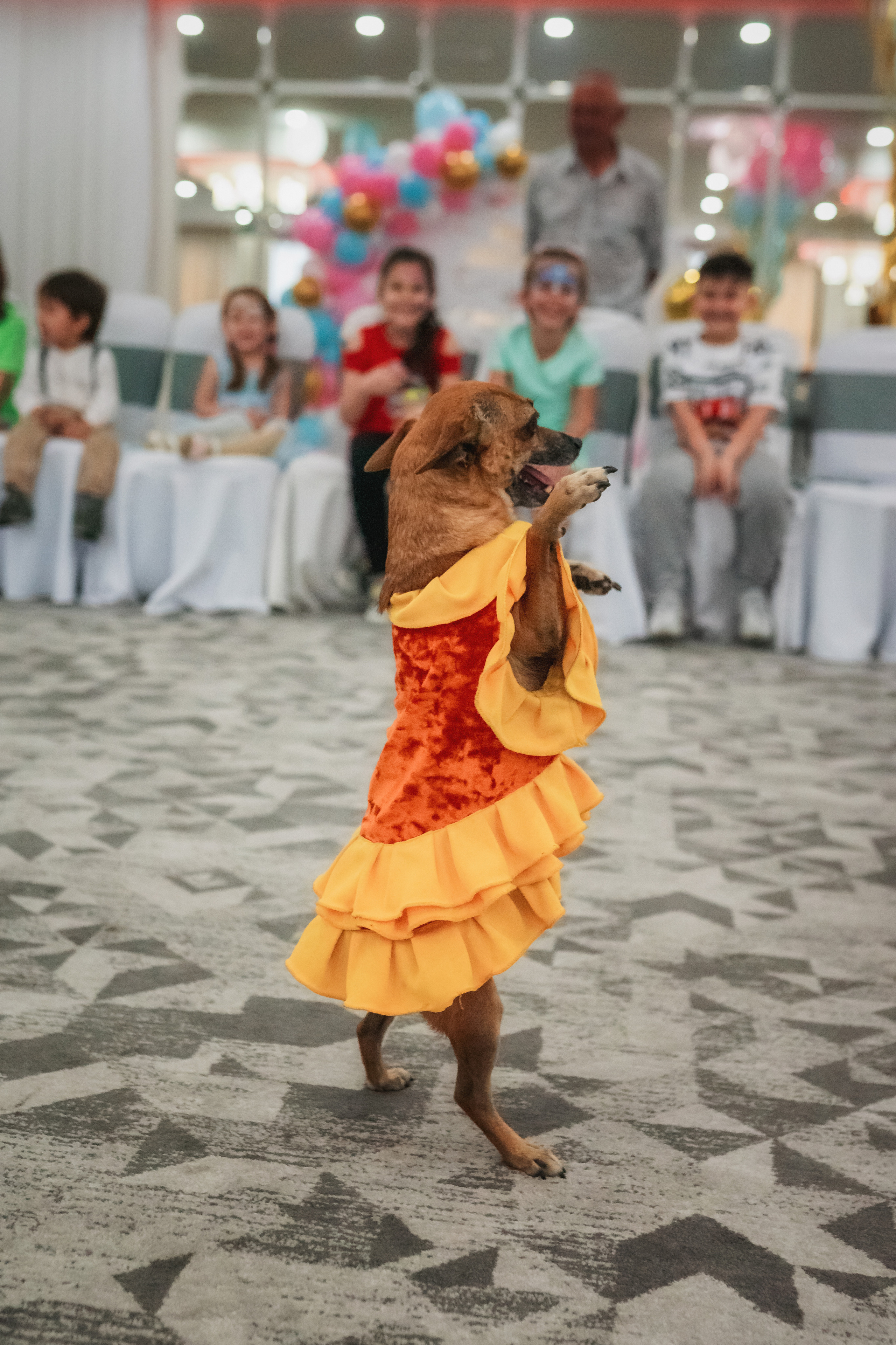 Мария и Анастасия. Семейный фотограф в Алматы Анжелика Али Номан