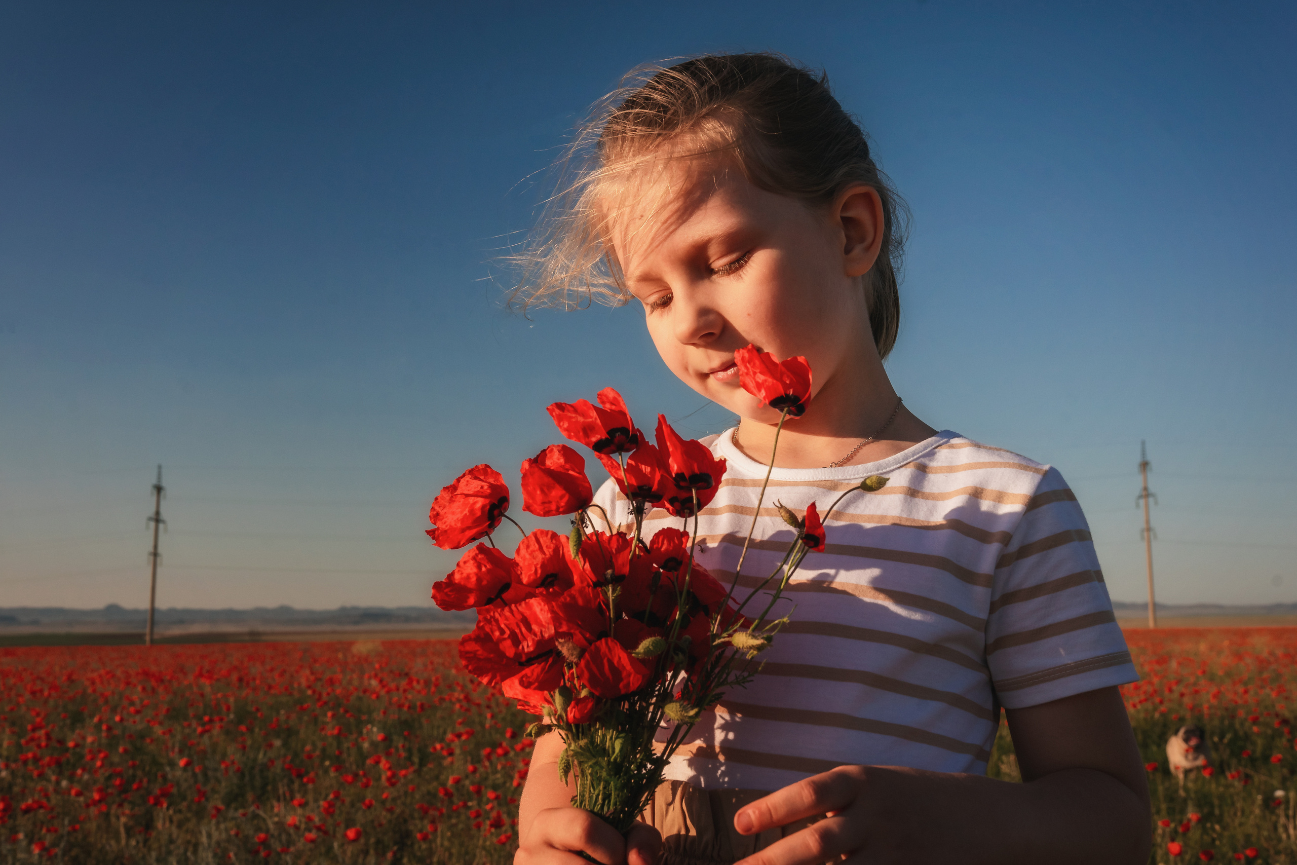 Маки. Семейный фотограф в Алматы Анжелика Али Номан