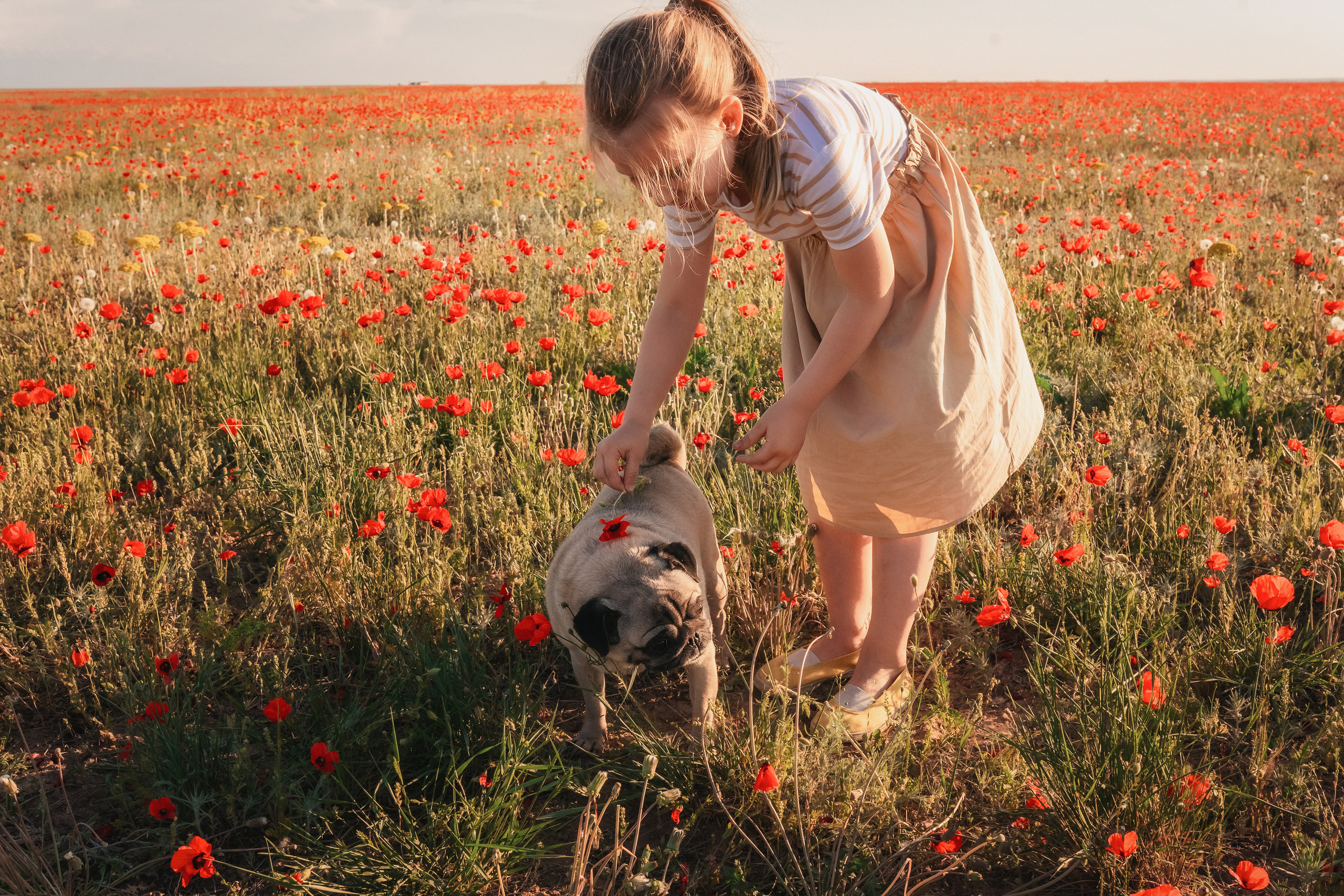 Маки. Семейный фотограф в Алматы Анжелика Али Номан