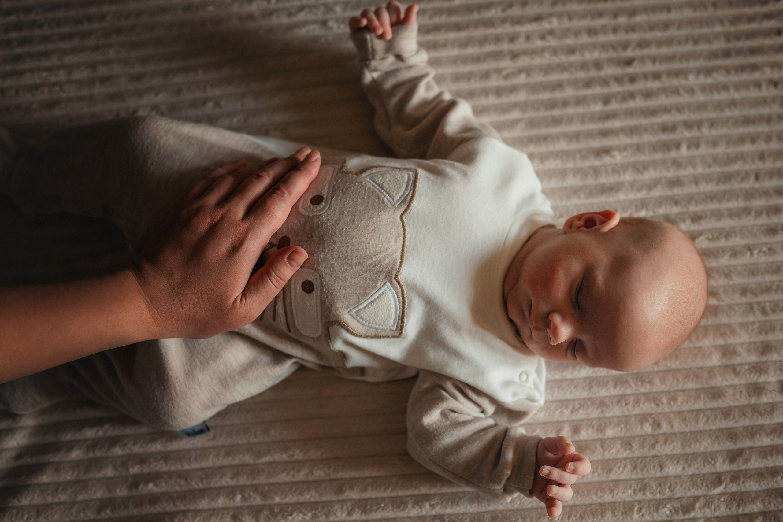 Антон. Семейный фотограф в Алматы Анжелика Али Номан