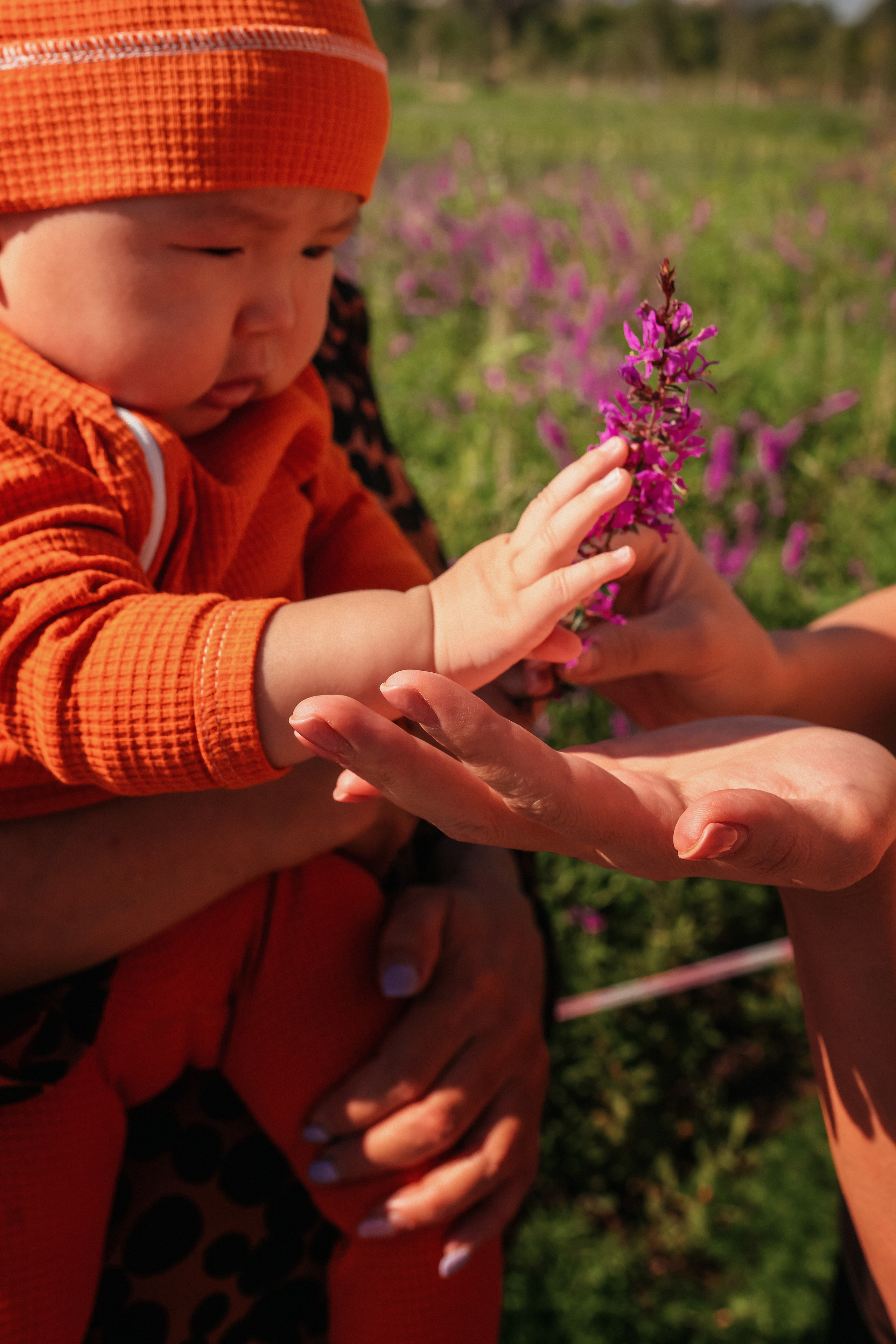 Каусар. Семейный фотограф в Алматы Анжелика Али Номан
