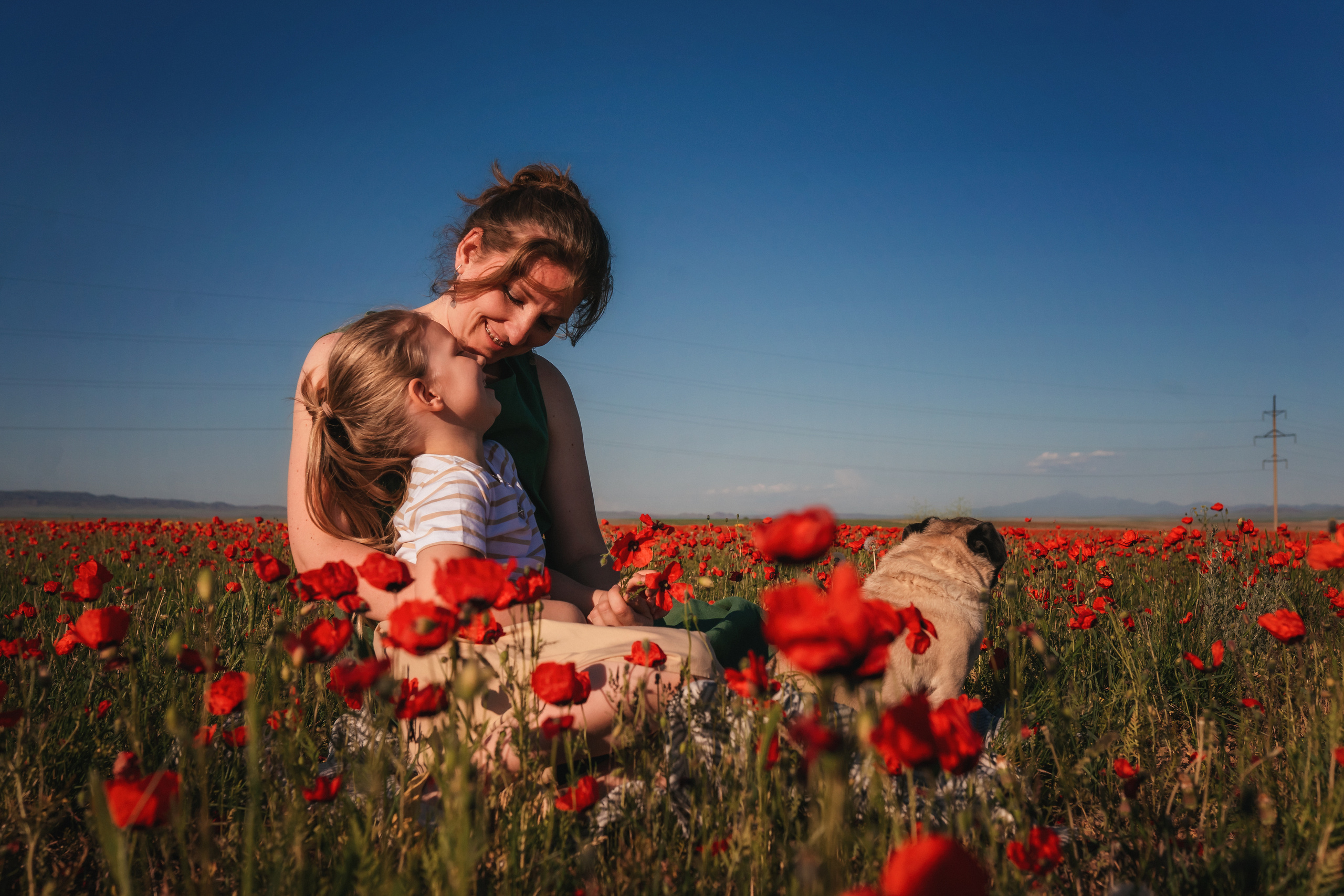 Маки. Семейный фотограф в Алматы Анжелика Али Номан