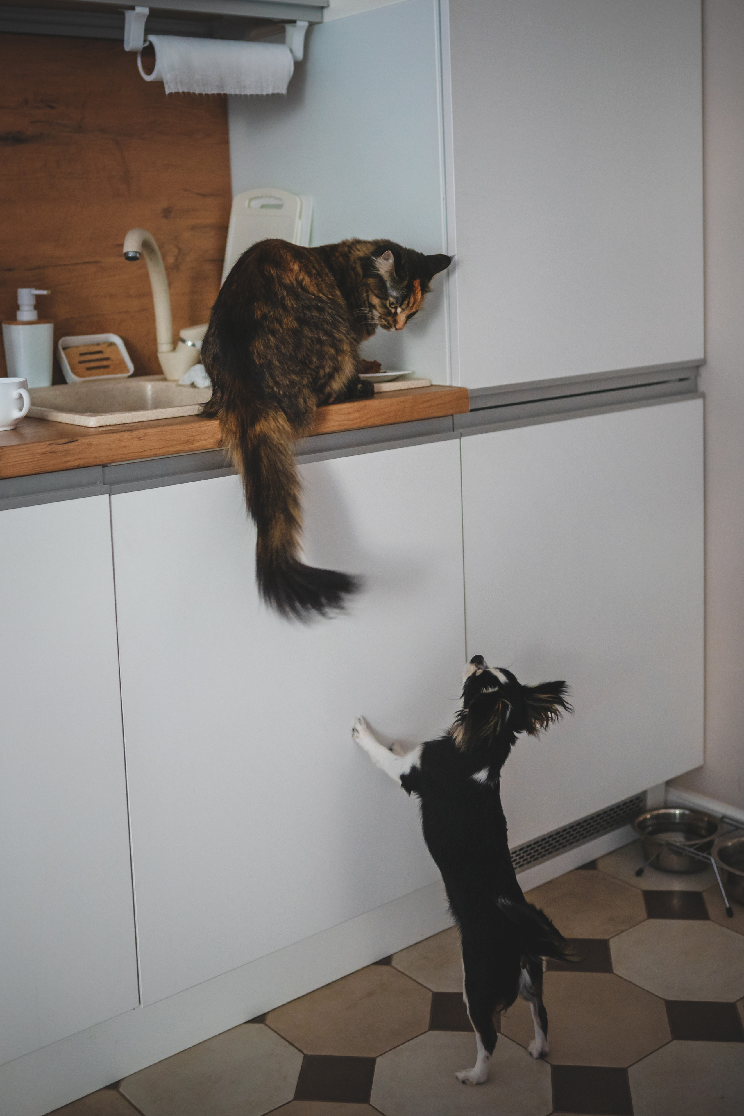 Катя, Тая и Егор. Семейный фотограф в Алматы Анжелика Али Номан