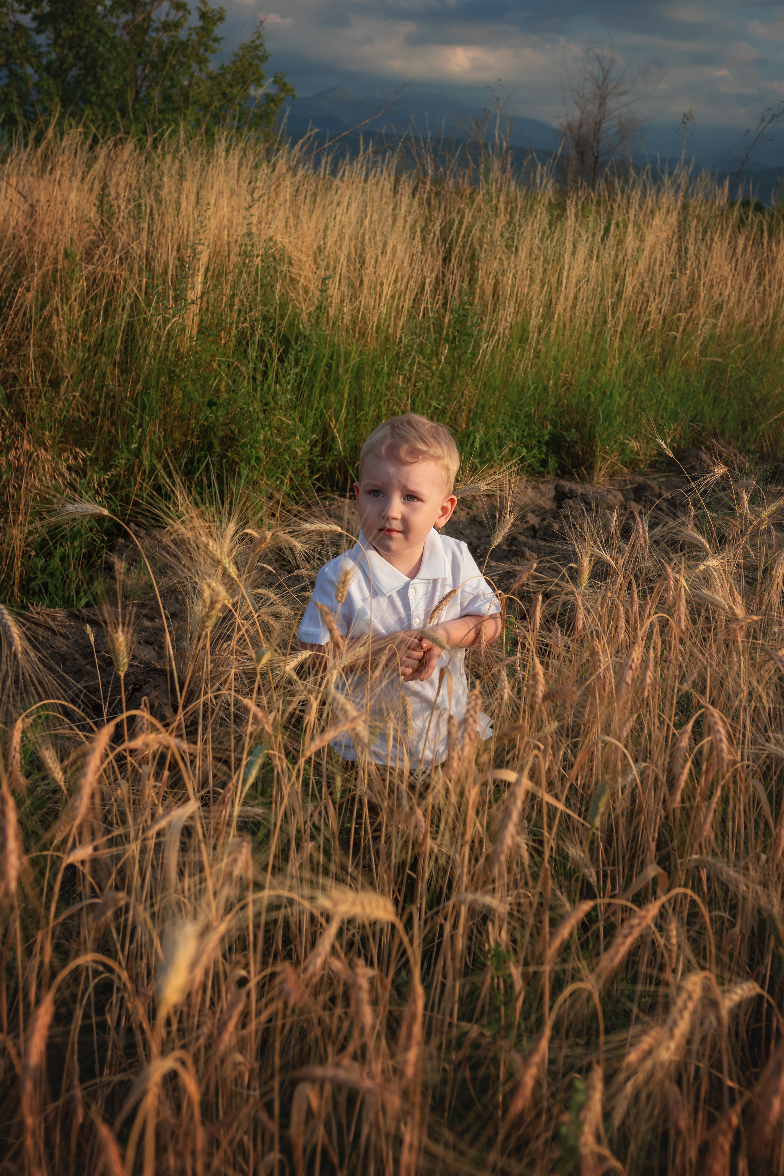 Миша, Настя, Полина и Леша в поле. Семейный фотограф в Алматы Анжелика Али Номан