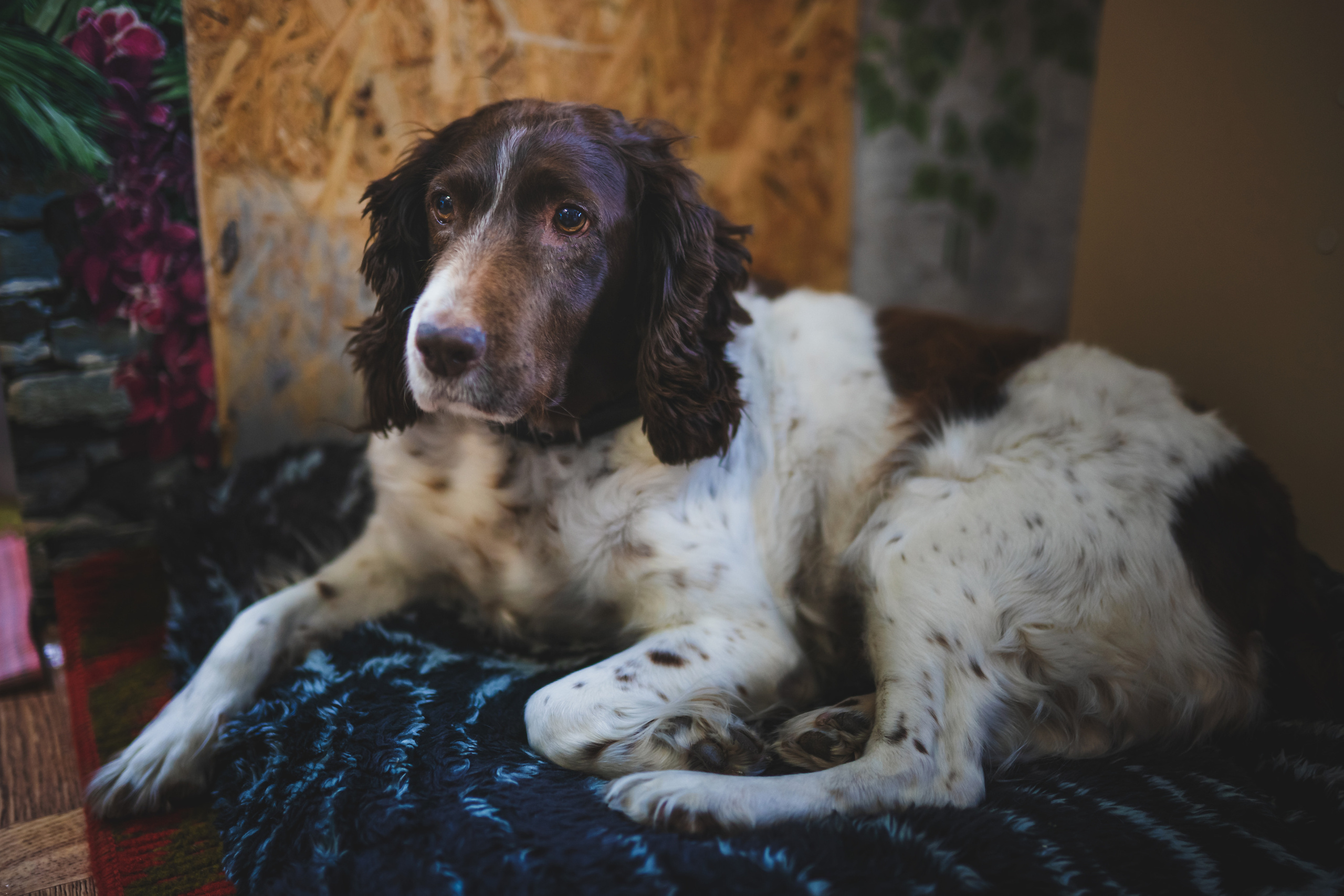 Андрей и Олеся. Семейный фотограф в Алматы Анжелика Али Номан