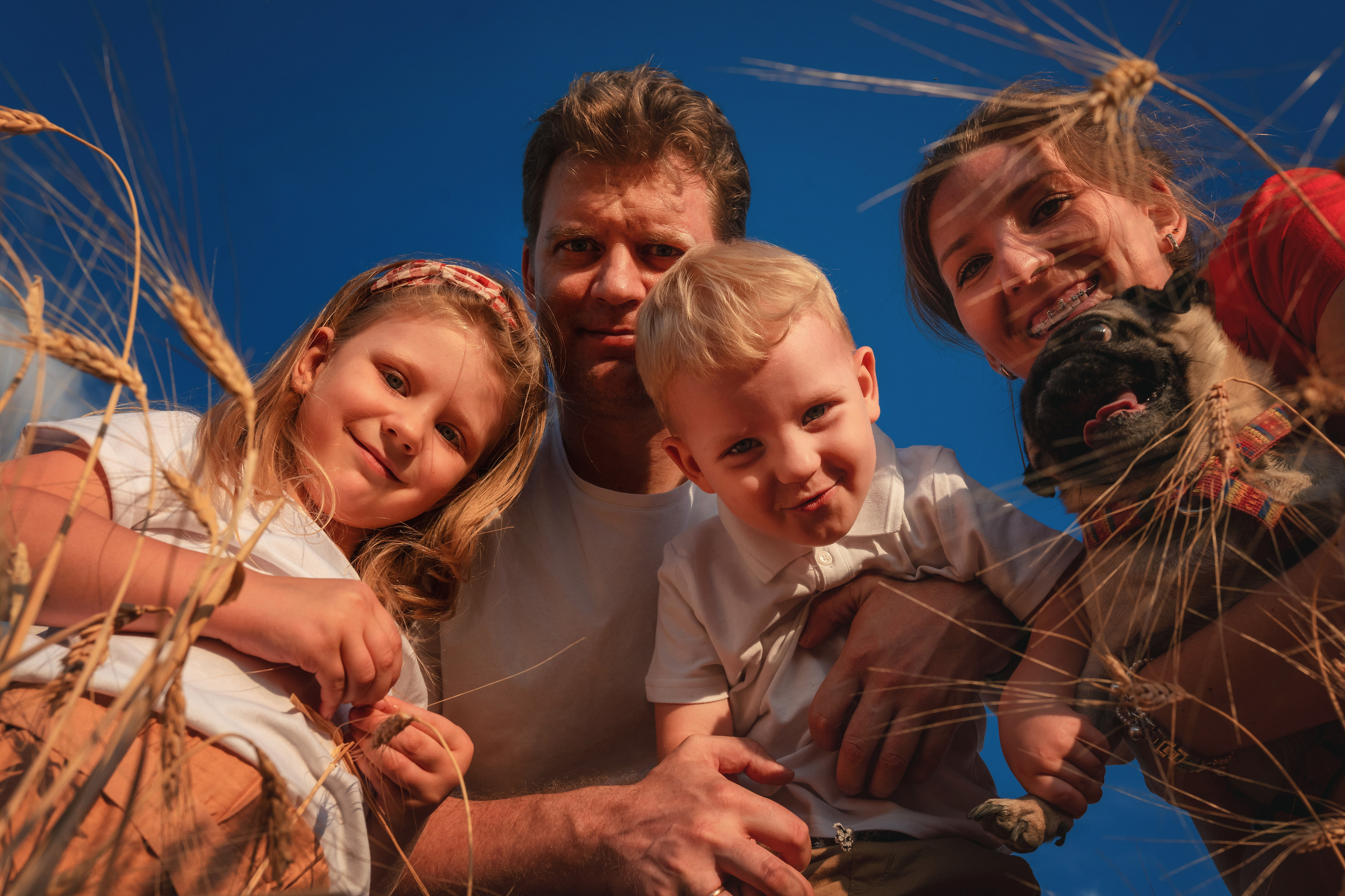 Миша, Настя, Полина и Леша в поле. Семейный фотограф в Алматы Анжелика Али Номан
