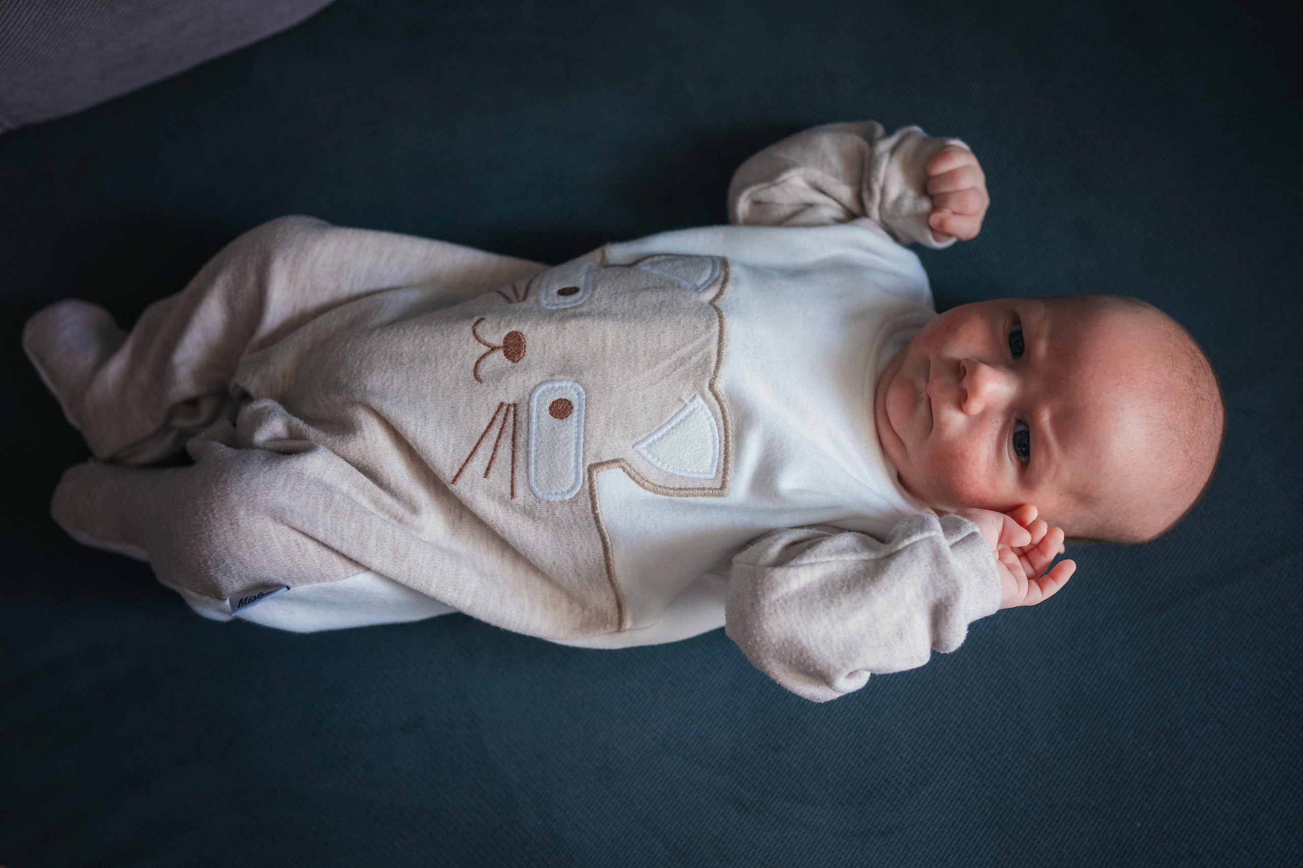 Антон. Семейный фотограф в Алматы Анжелика Али Номан