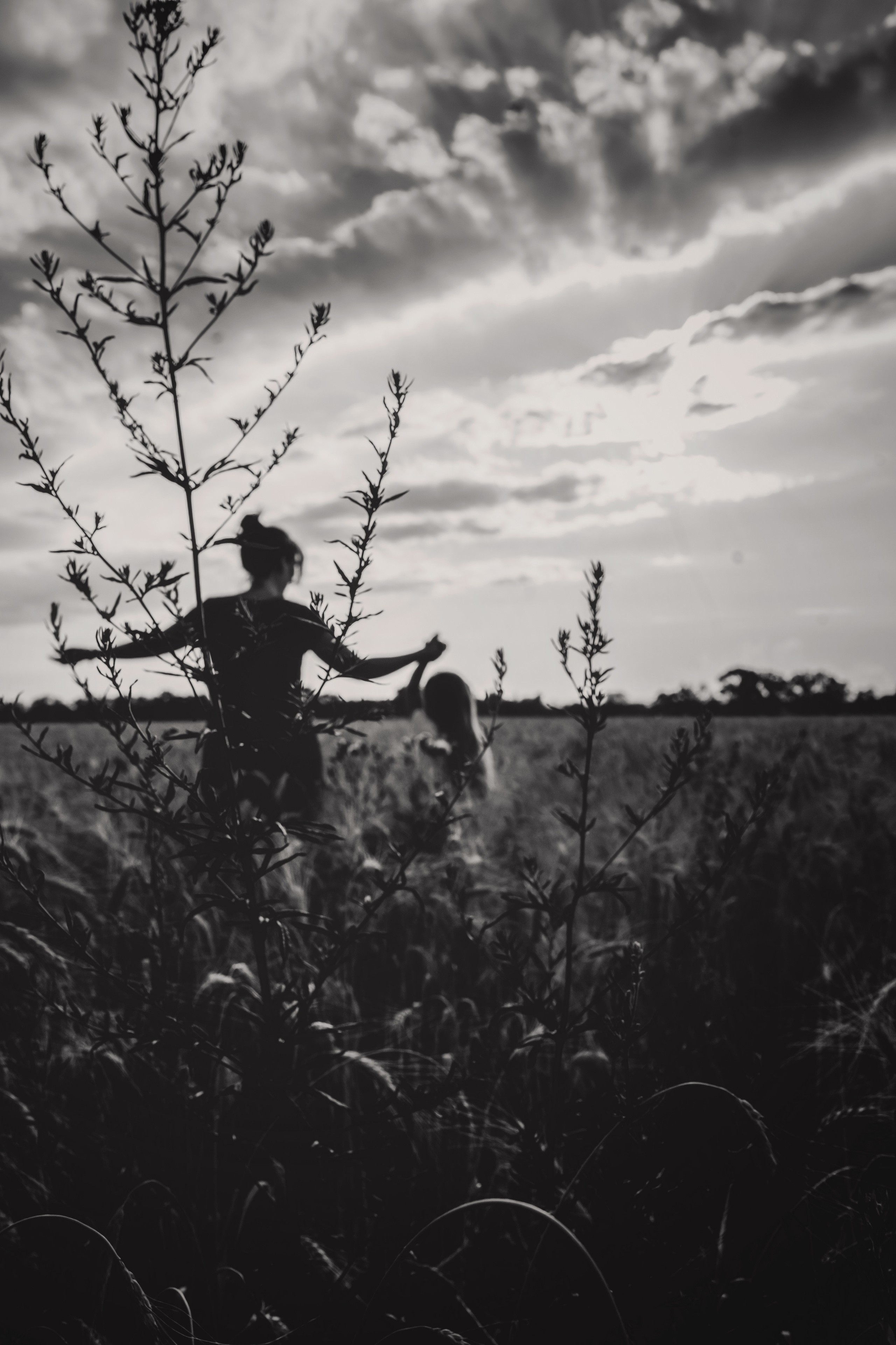 Миша, Настя, Полина и Леша в поле. Семейный фотограф в Алматы Анжелика Али Номан