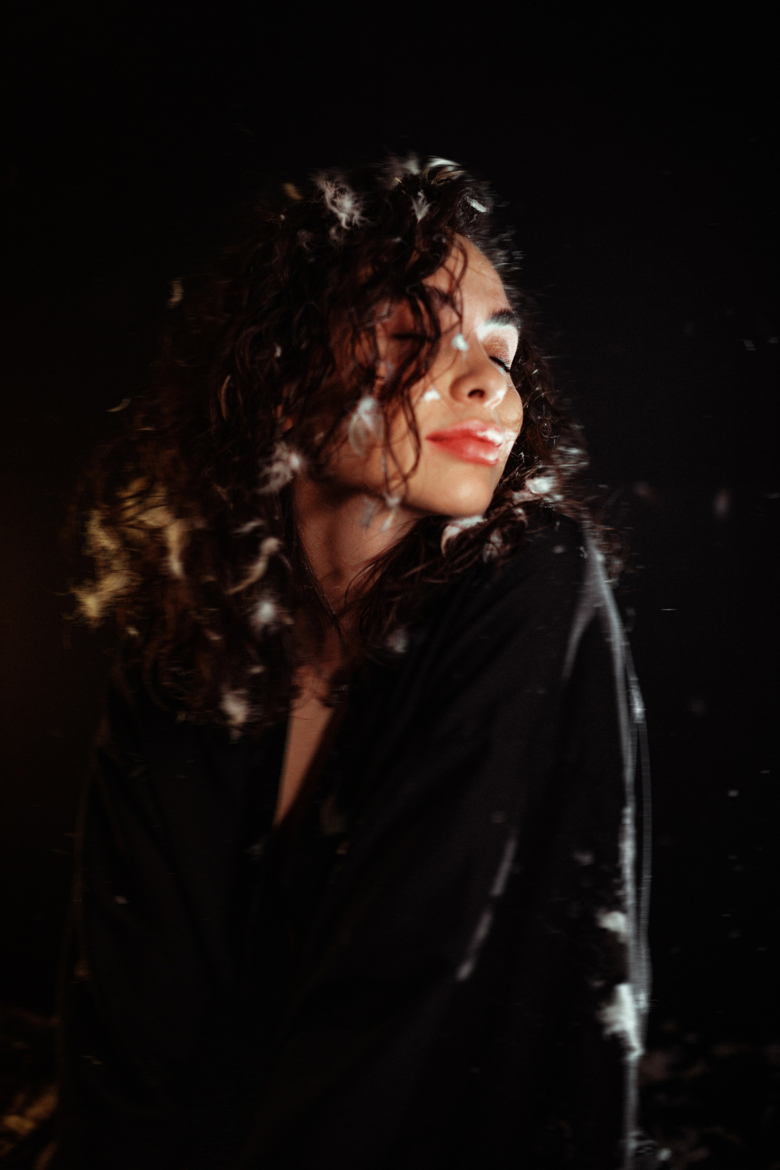 Перья. Александр Атлес Фотограф