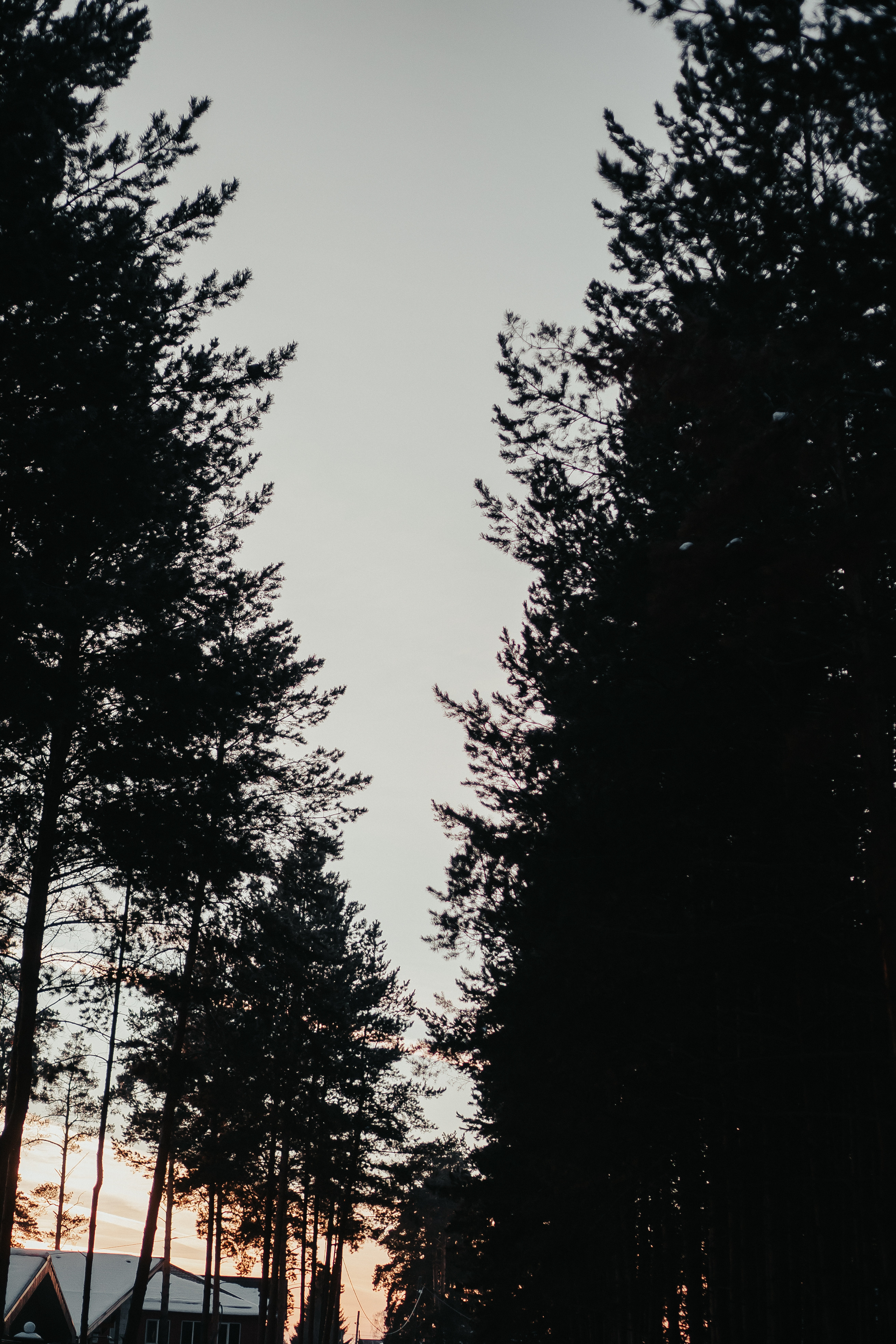 Редкое тепло