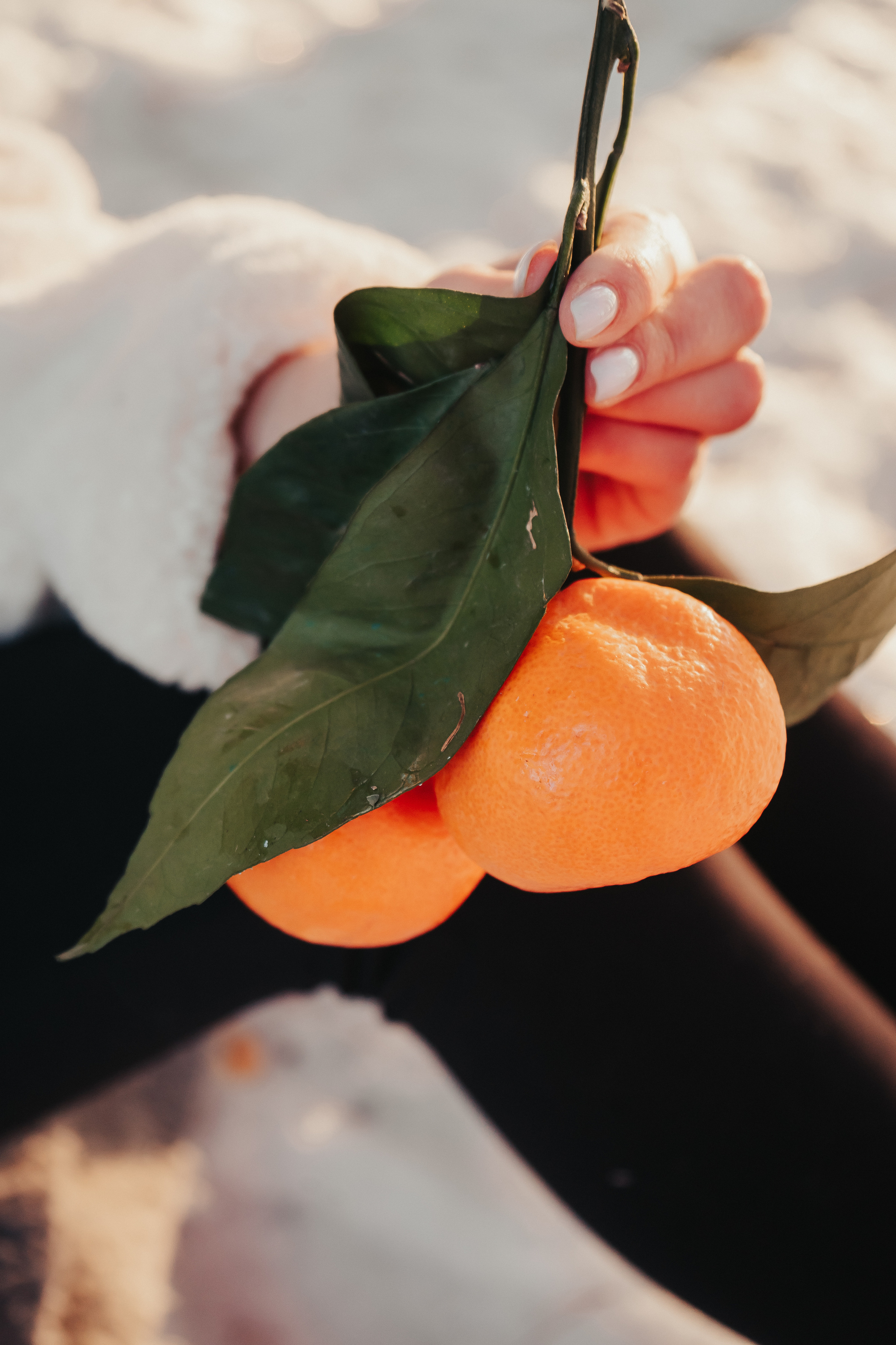 Редкое тепло