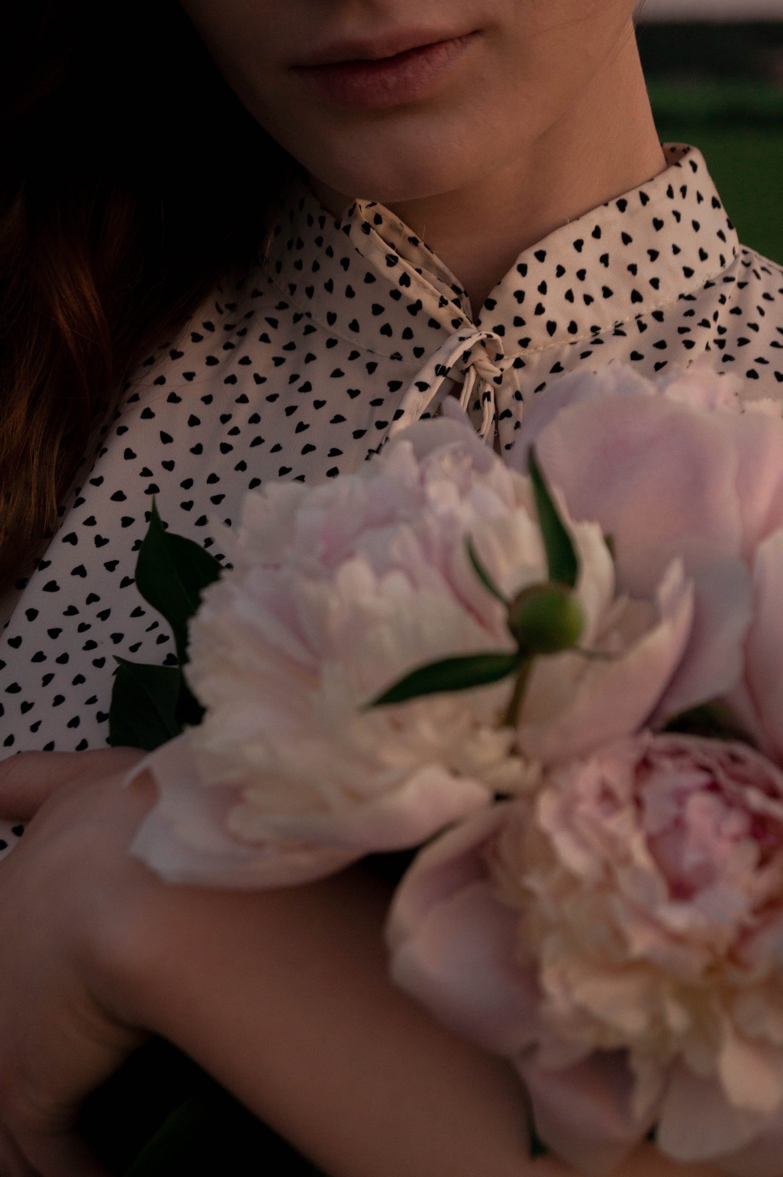 Тёплый вечер