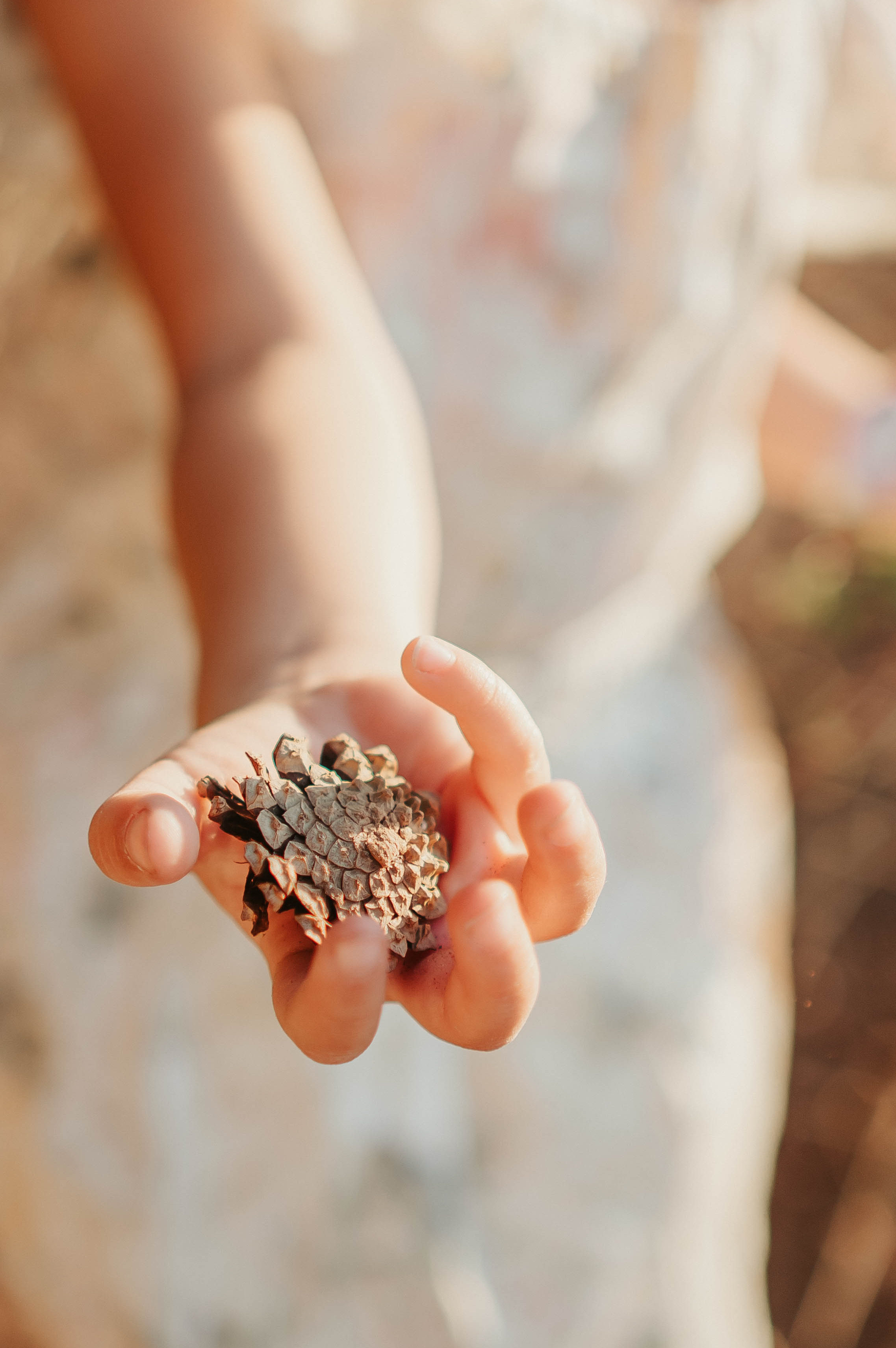 Очень солнечно