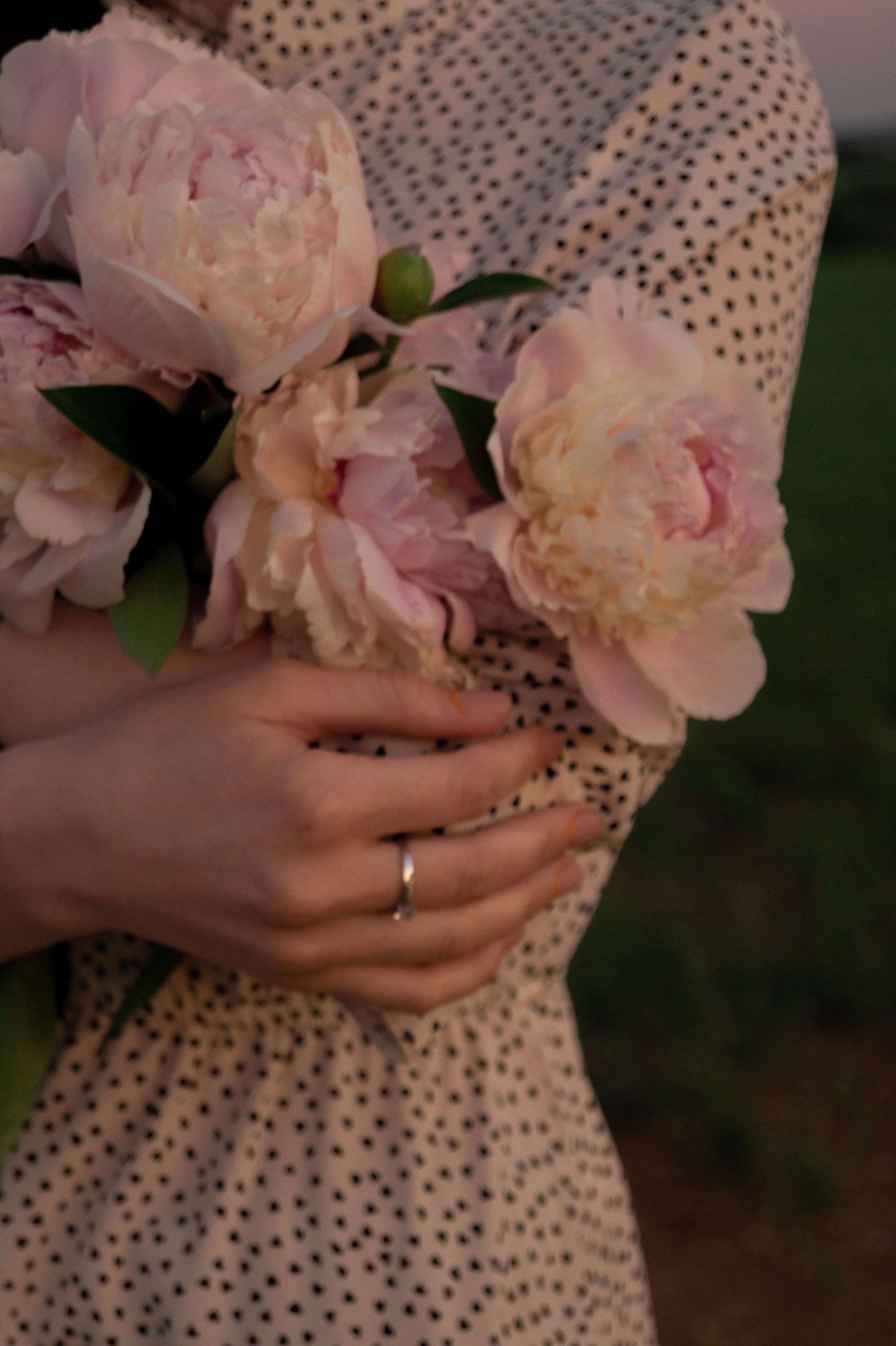 Тёплый вечер