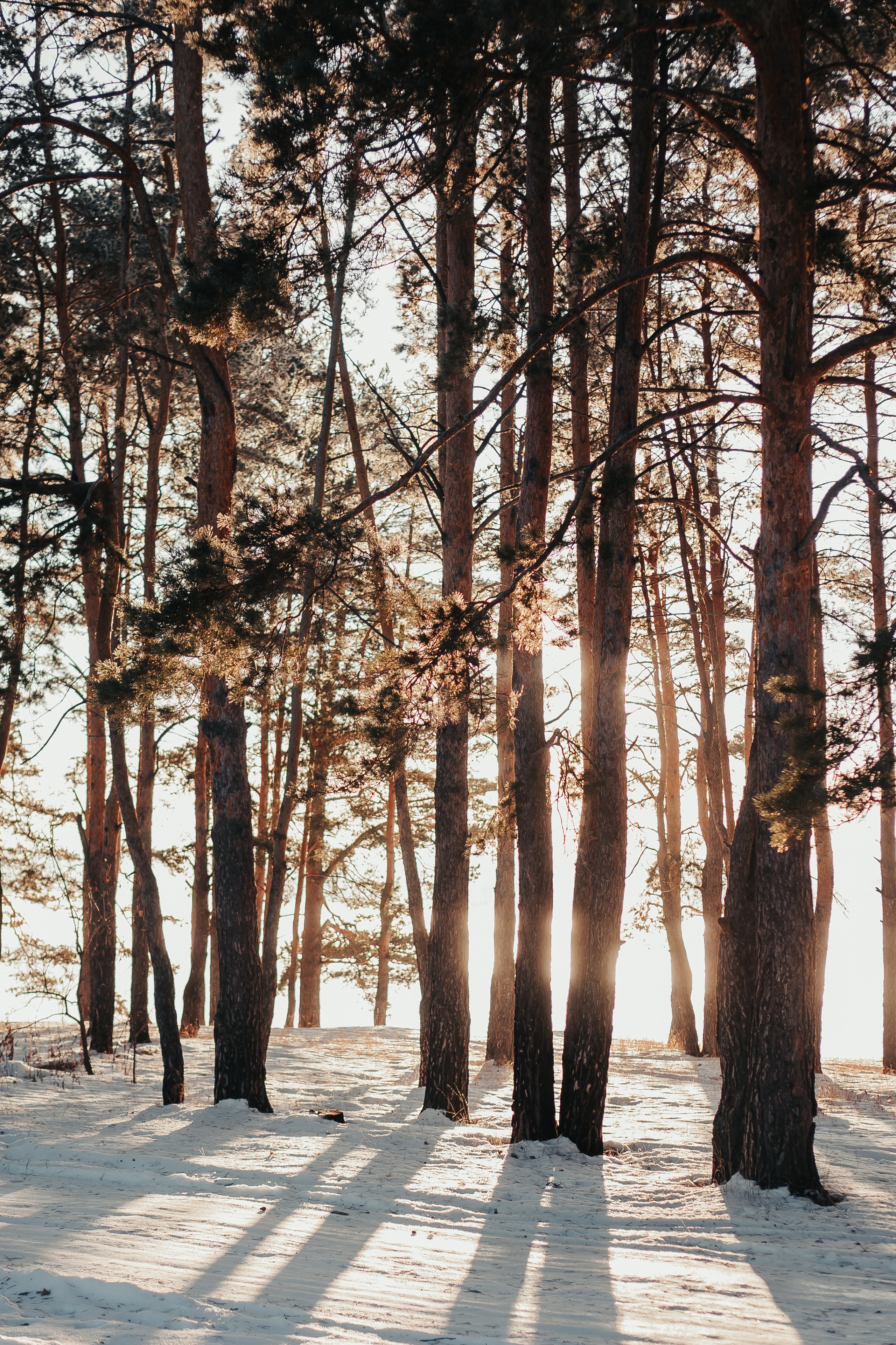 Редкое тепло