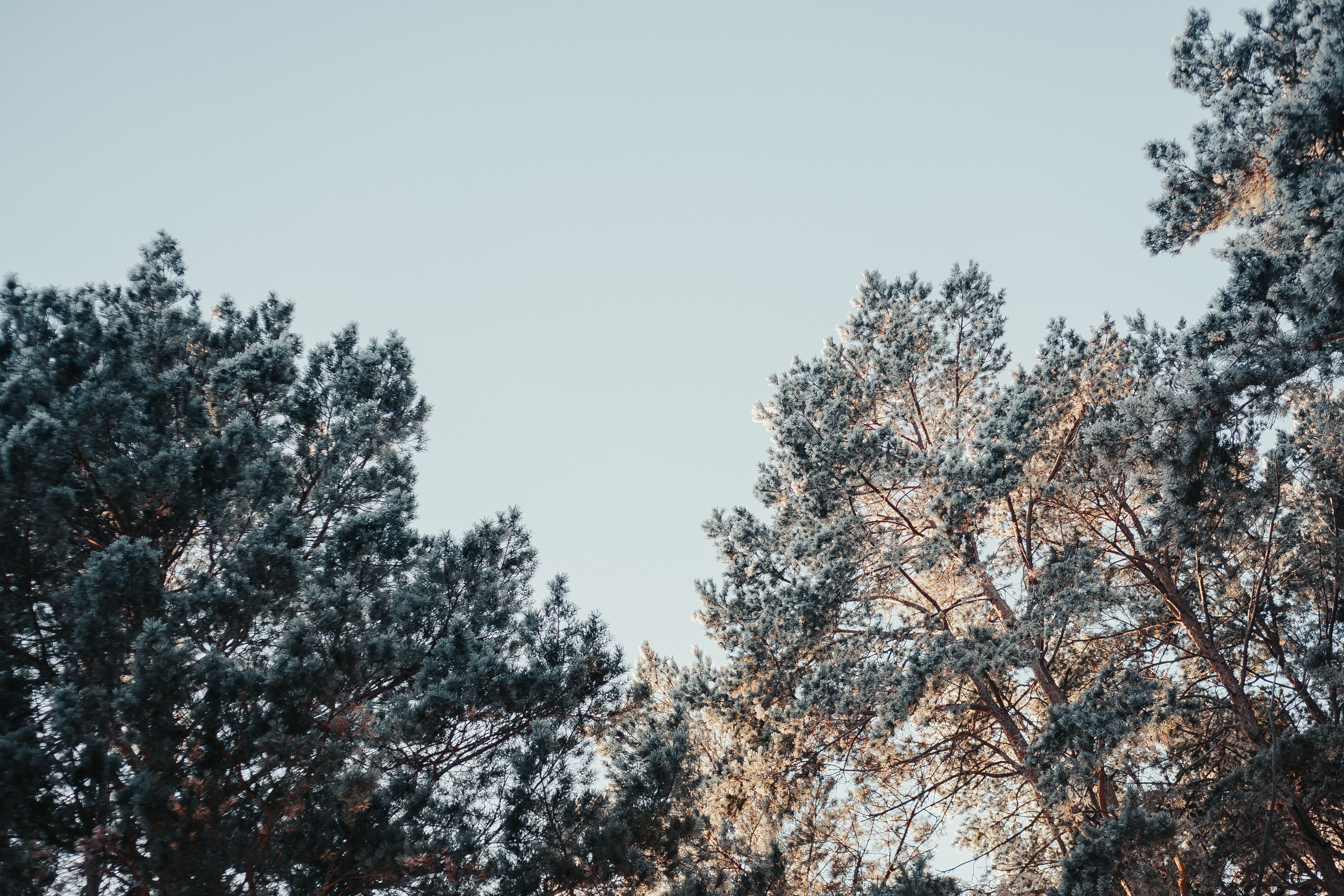 Редкое тепло