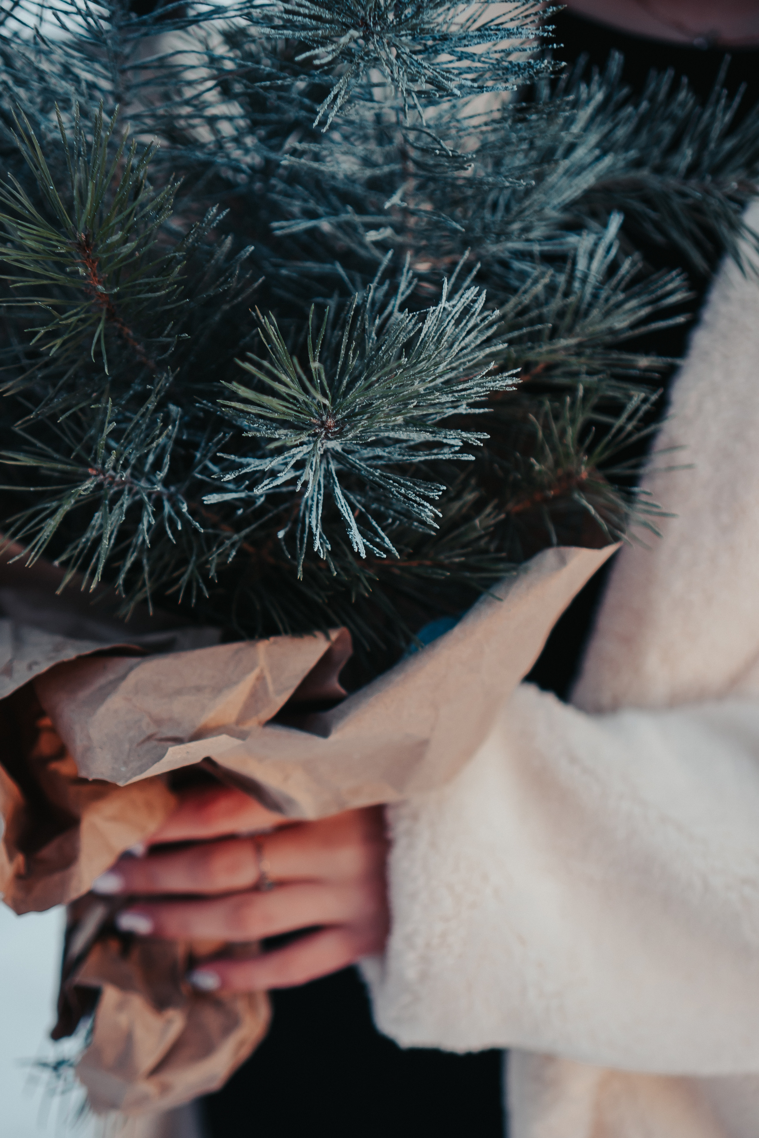 Редкое тепло