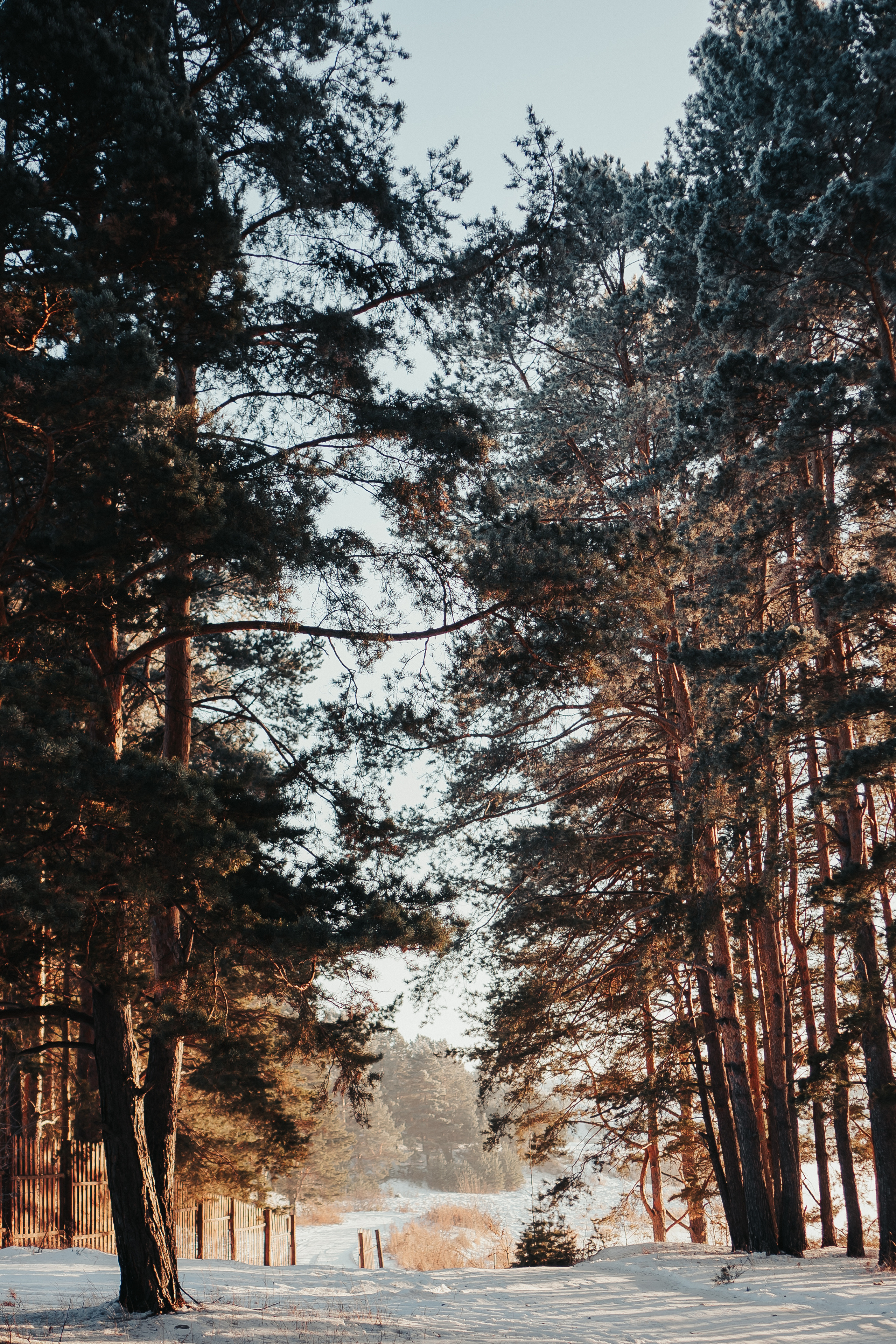 Редкое тепло