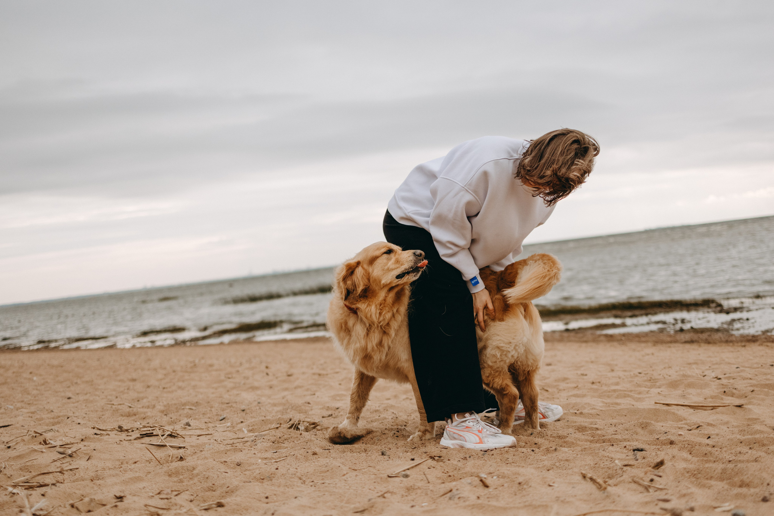Фоси и его семьи. Фотограф — Анималист | Санкт-Петербург