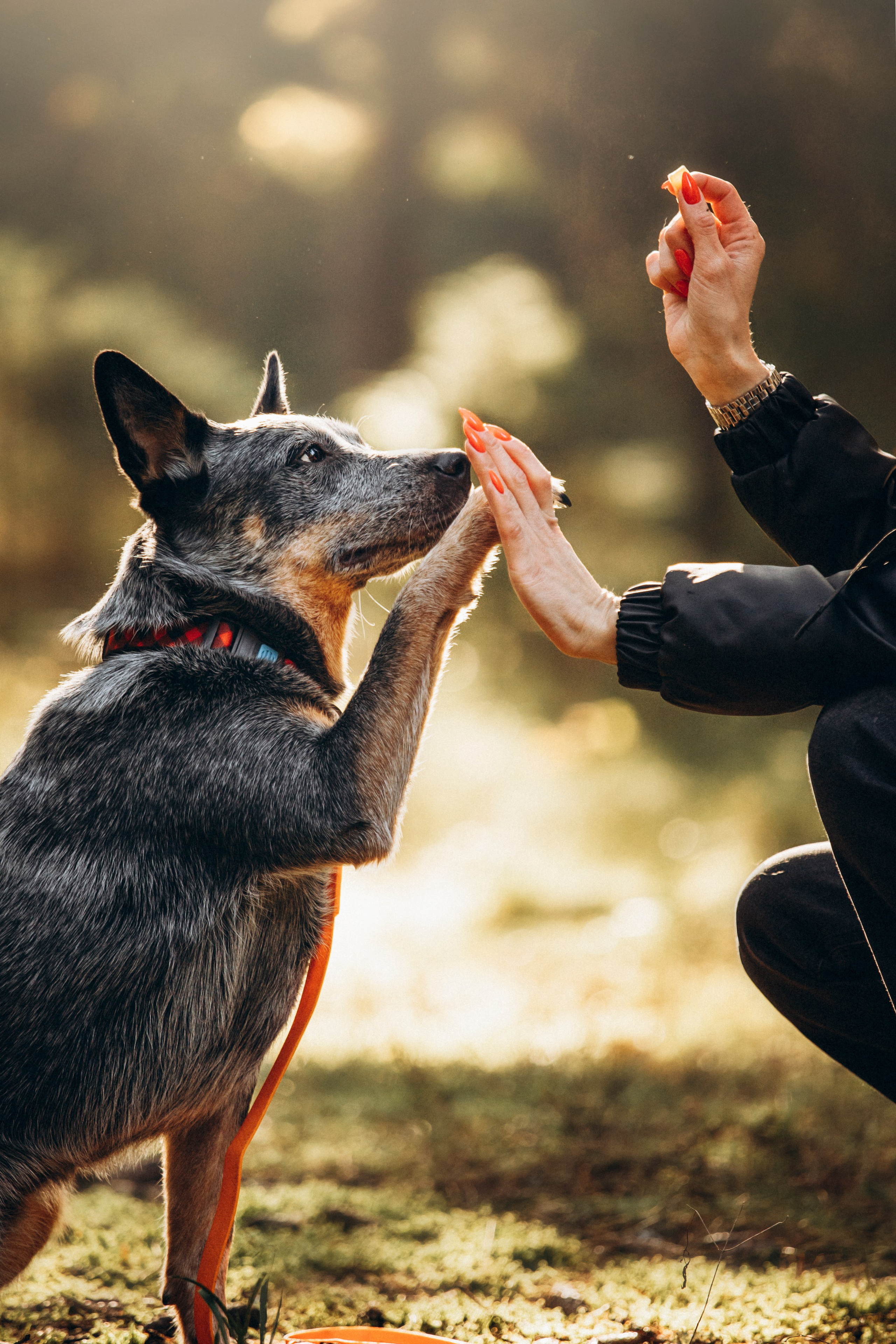 Оля и Мотечка. Фотограф — Анималист | Санкт-Петербург