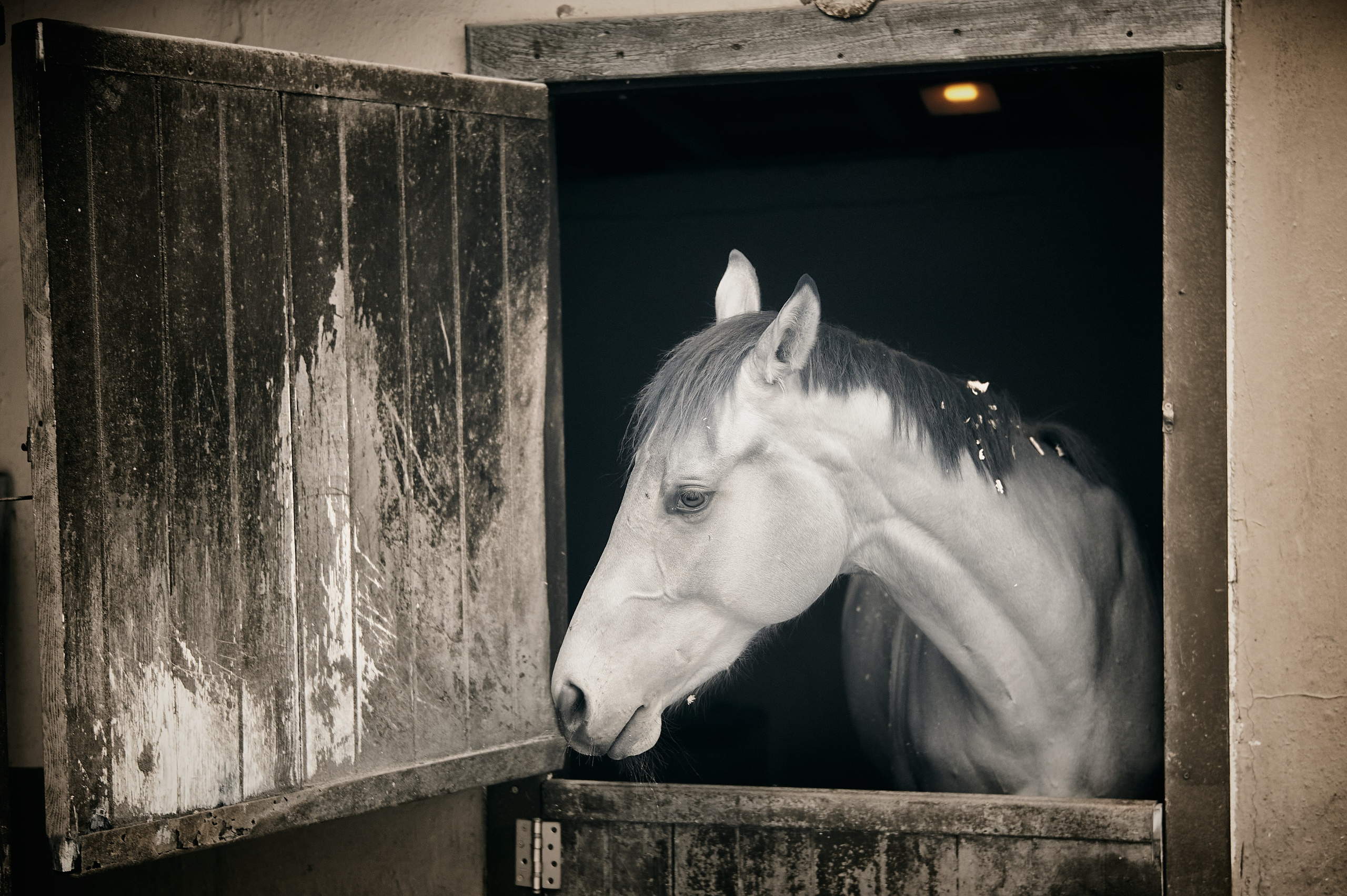 Infrared Photography. Solofilms