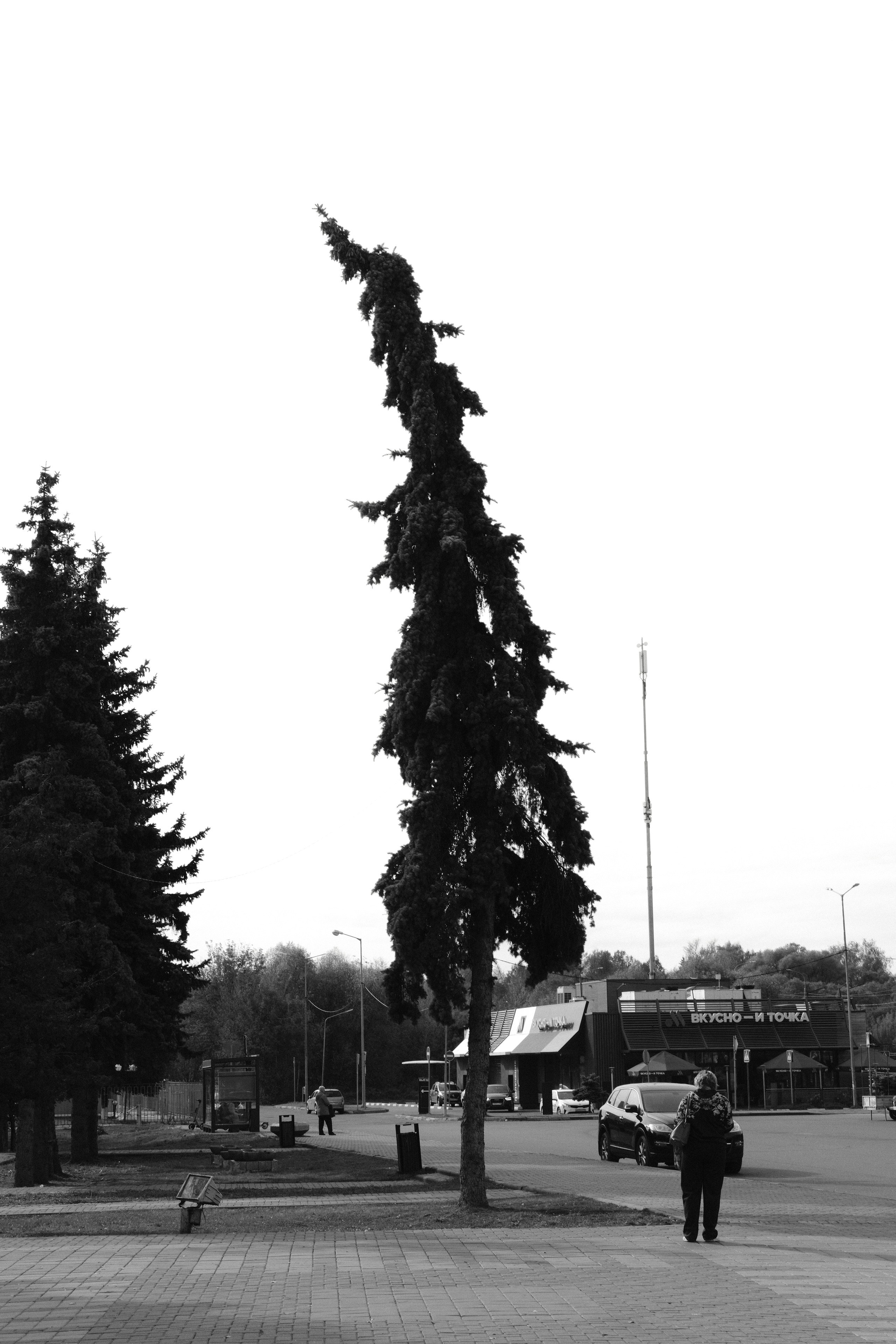 Чехов-Серпухов. Фотограф Маргана Лоция