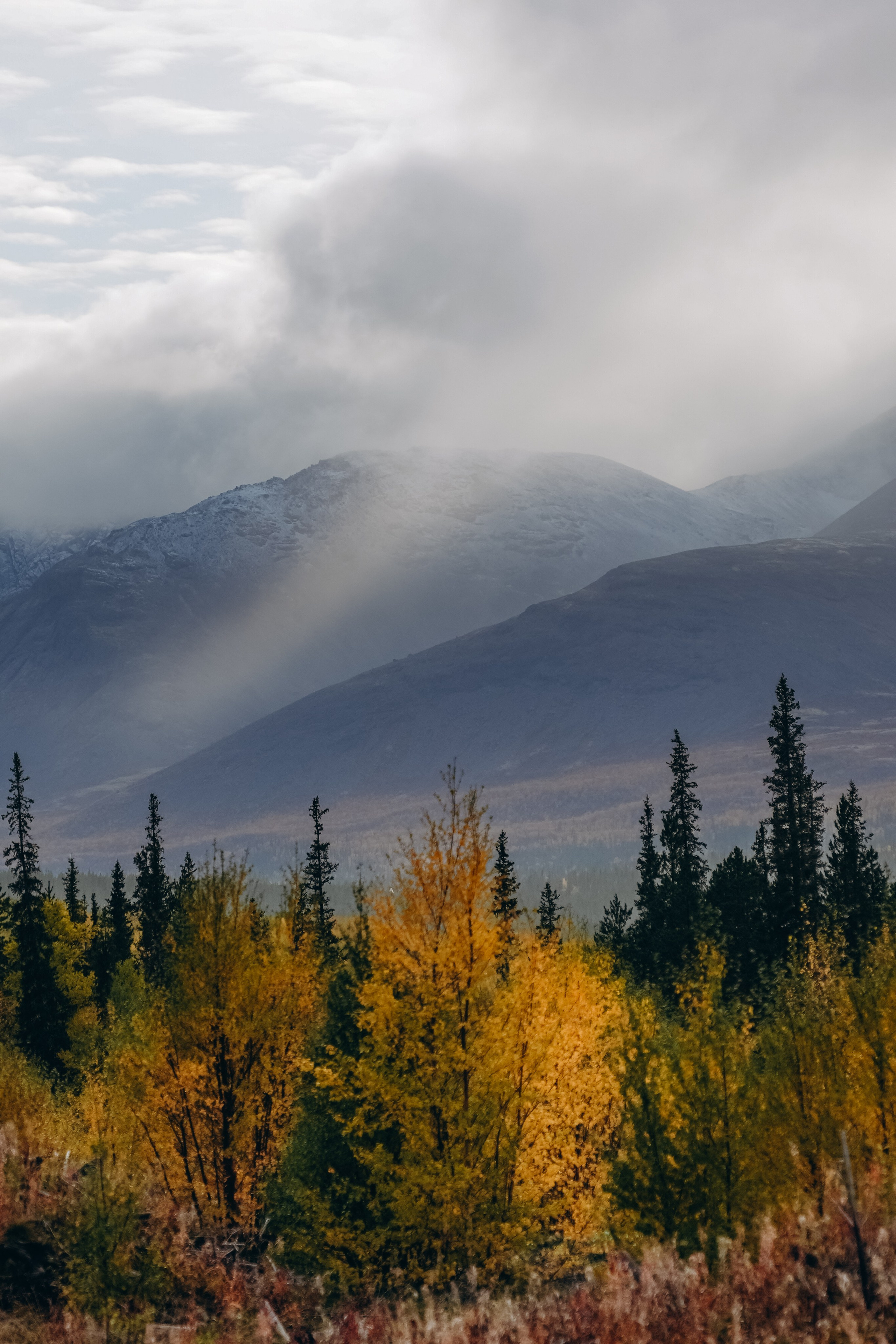 СЕВЕР. Event фотограф Степанова Александра