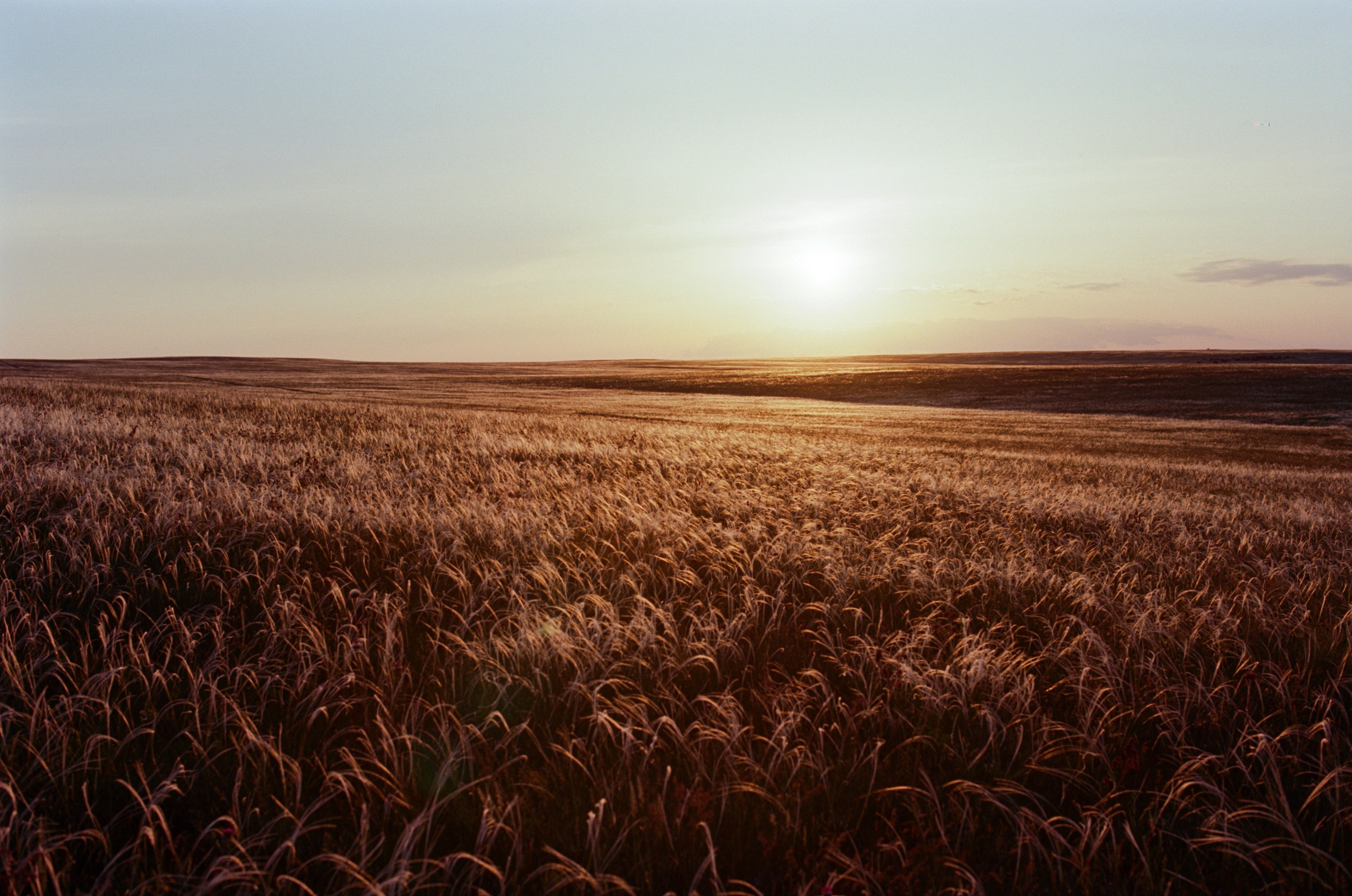 Champagne supernova // ukraine, crimea II. EVER EXPOSED