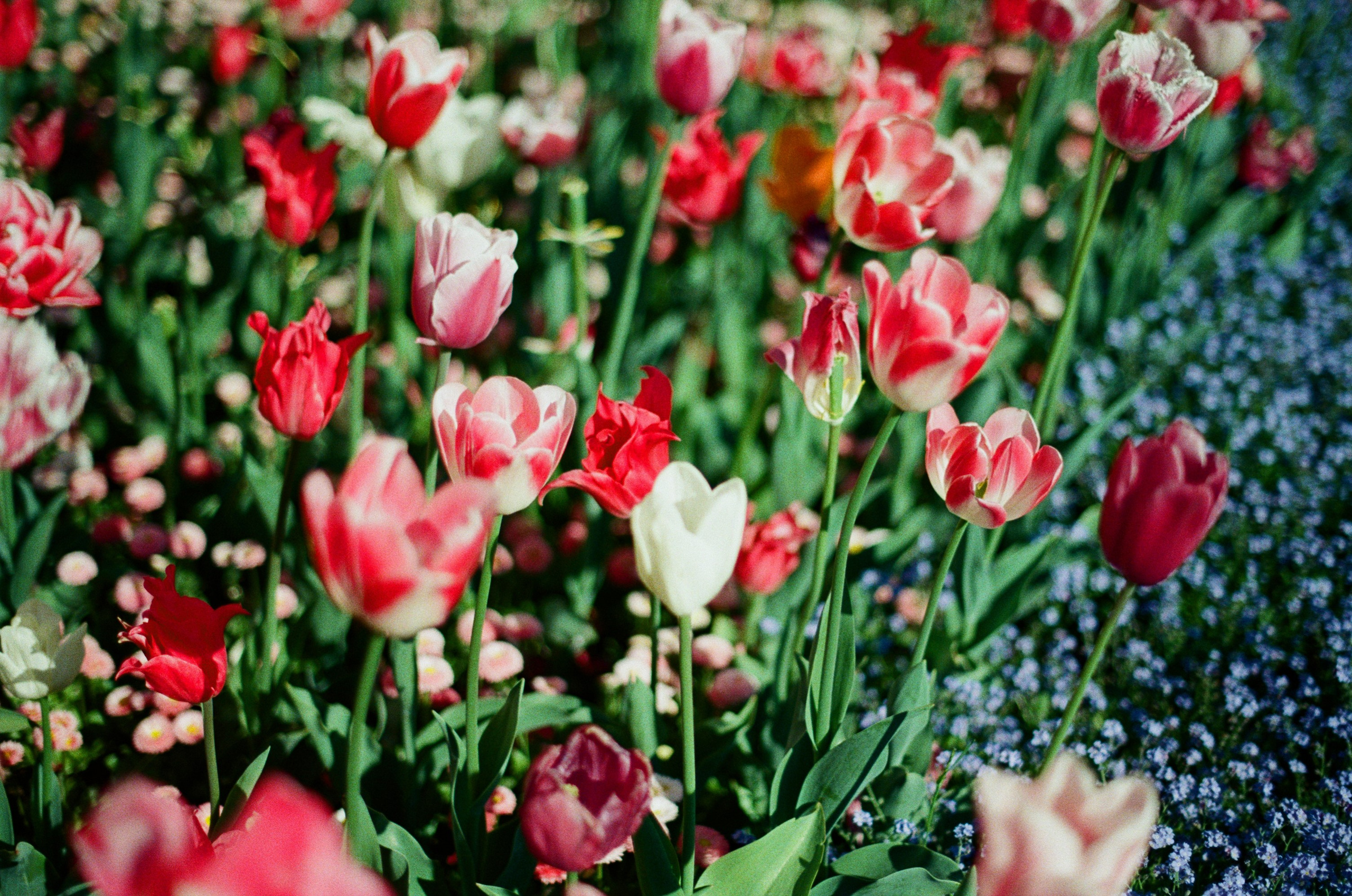 Follow you // ukraine, crimea V. EVER EXPOSED