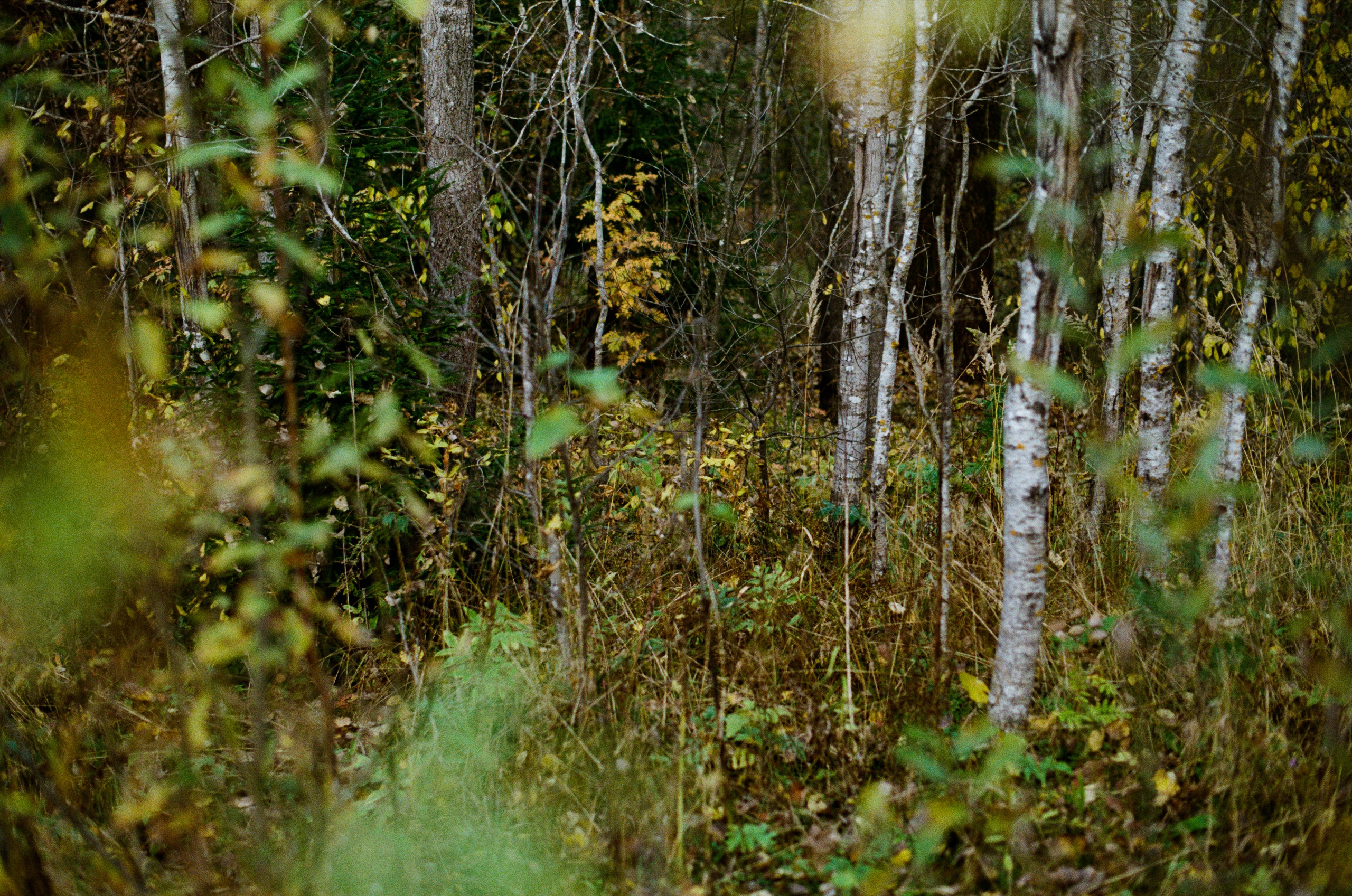 My name is dust // kostroma. EVER EXPOSED