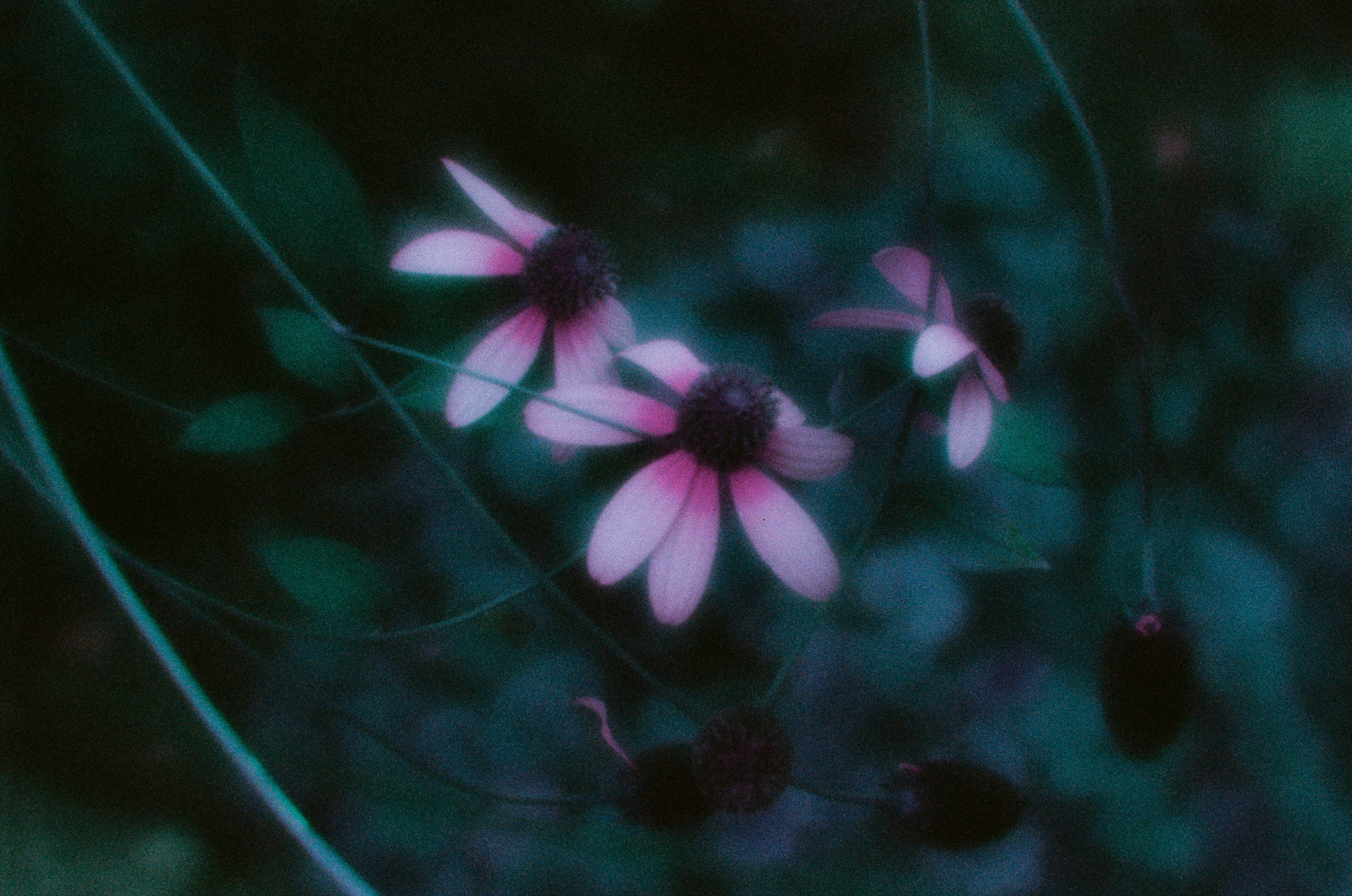 Everything i could never say to you II. EVER EXPOSED