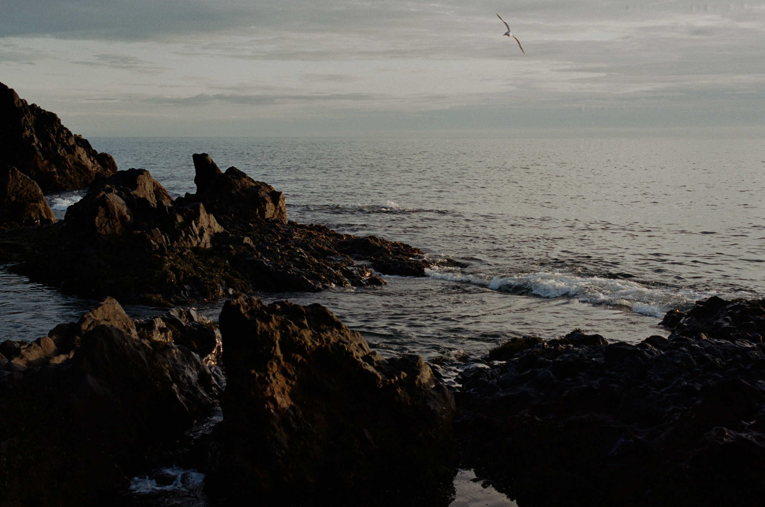 I of the storm // iceland, 574 utnesvegur. EVER EXPOSED