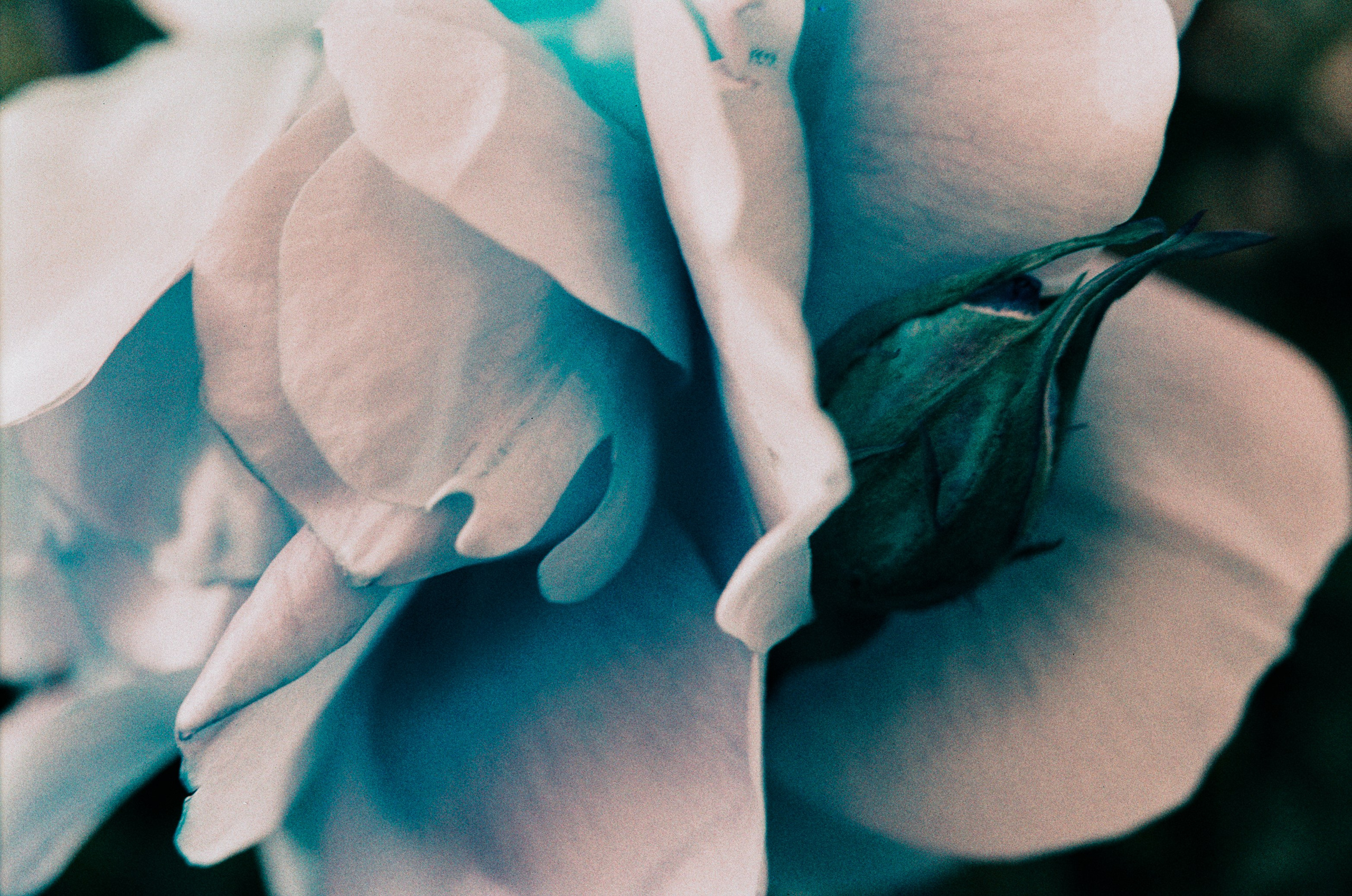 Point of no reply // ukraine, crimea II. EVER EXPOSED