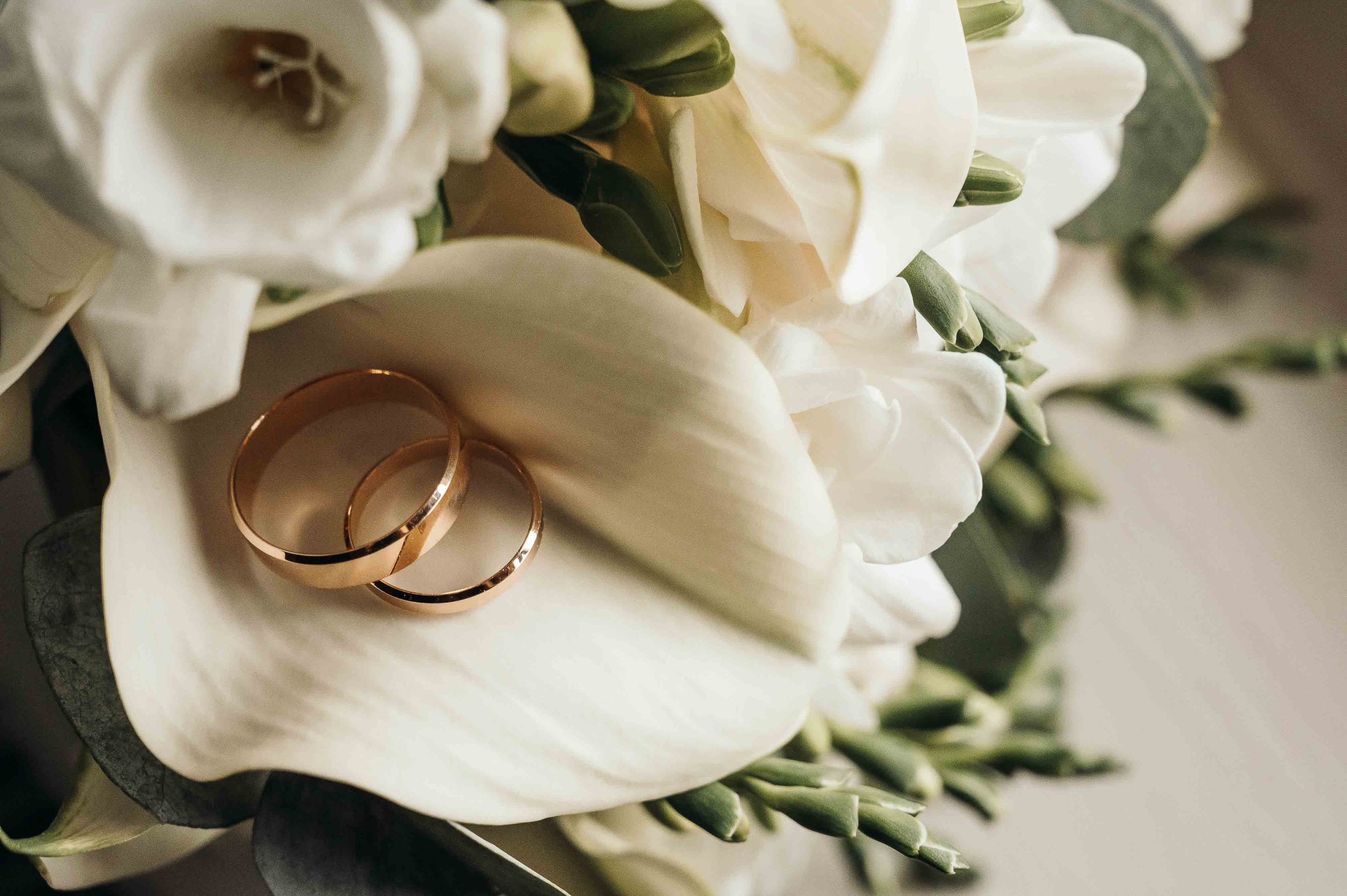 Фотосъемка выездной регистрации. Свадебный и семейный фотограф в Котласе Никита Попов