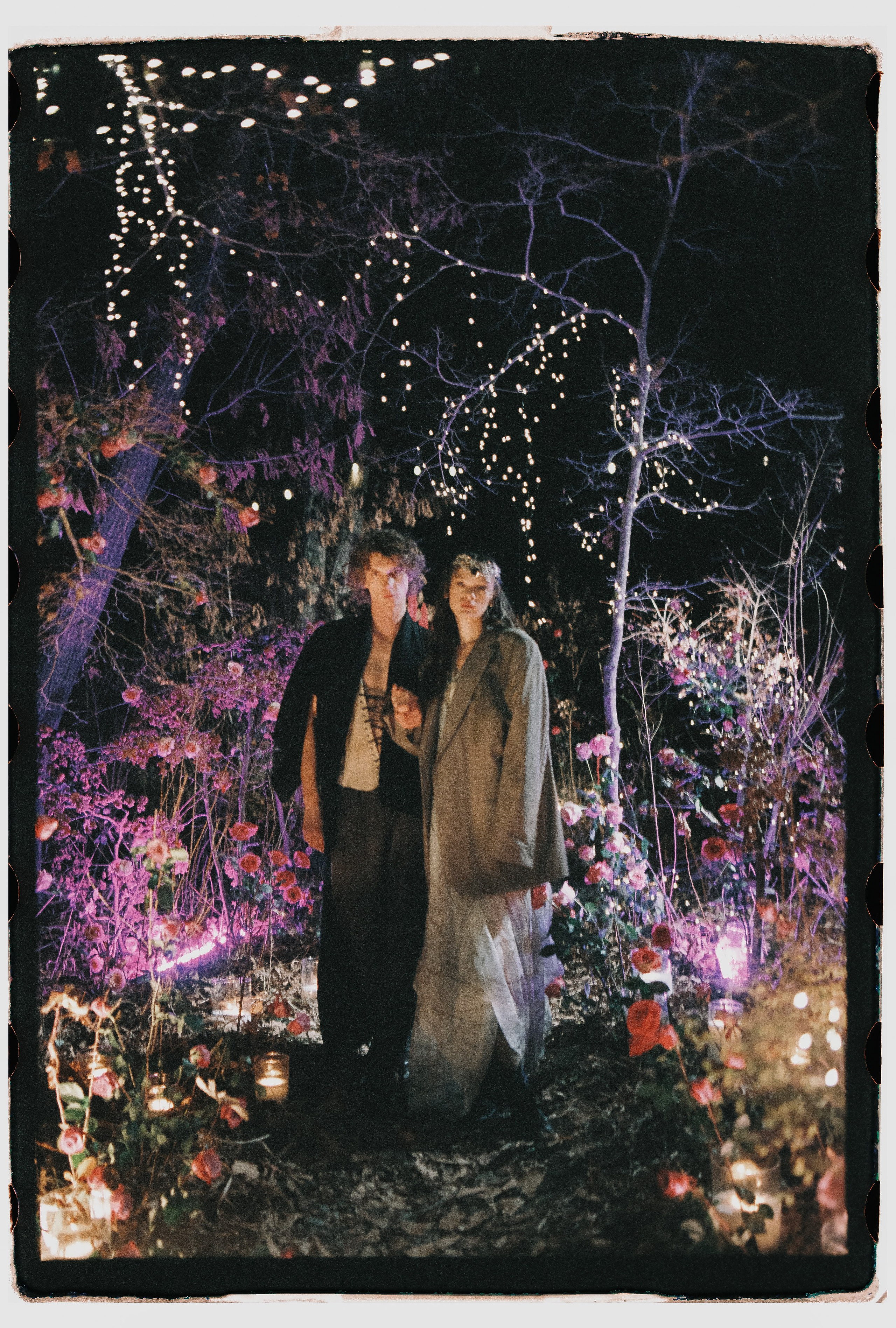 Лесной променад