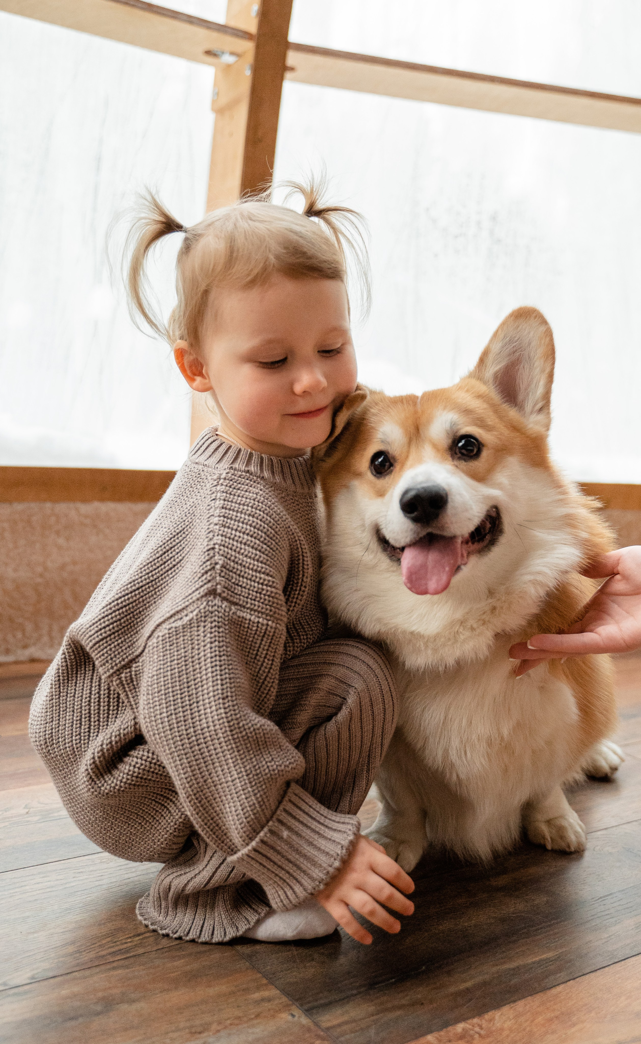 Юлия Bagio. Свадебный фотограф Ирина Димитриева