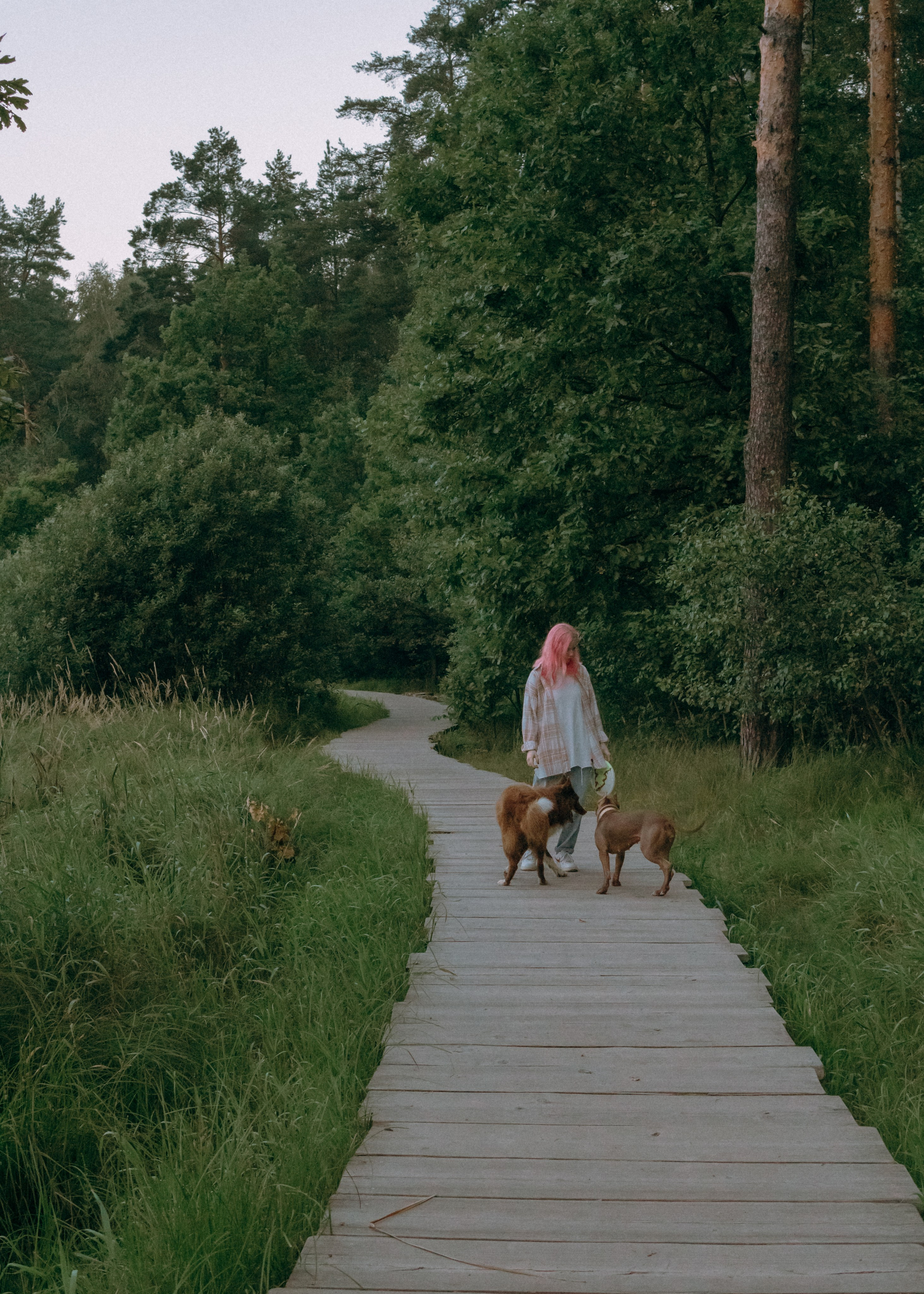 Виолетта, Лила и Питер. Фотограф-анималист Ксения Воробьева, Москва