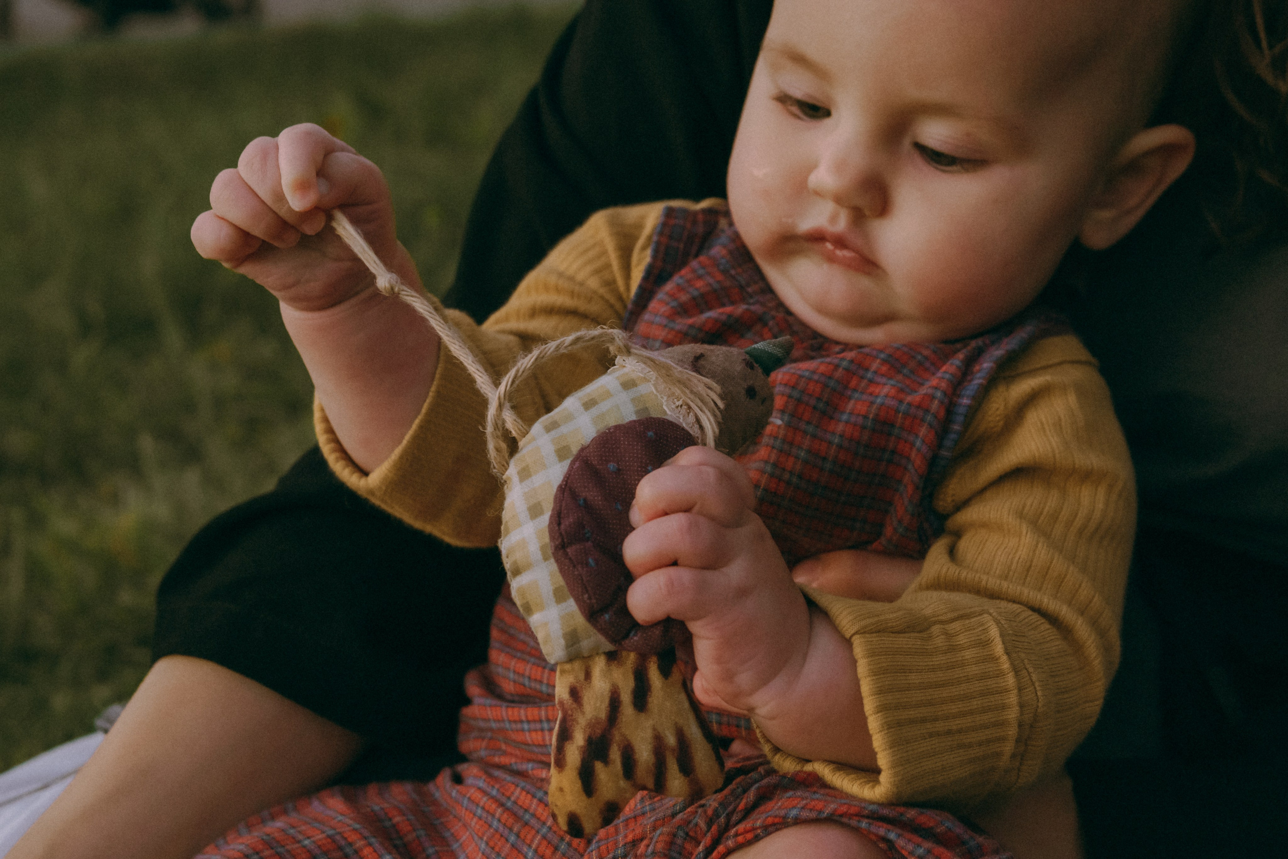 Маша и Мирра. Фотограф-анималист Ксения Воробьева, Москва
