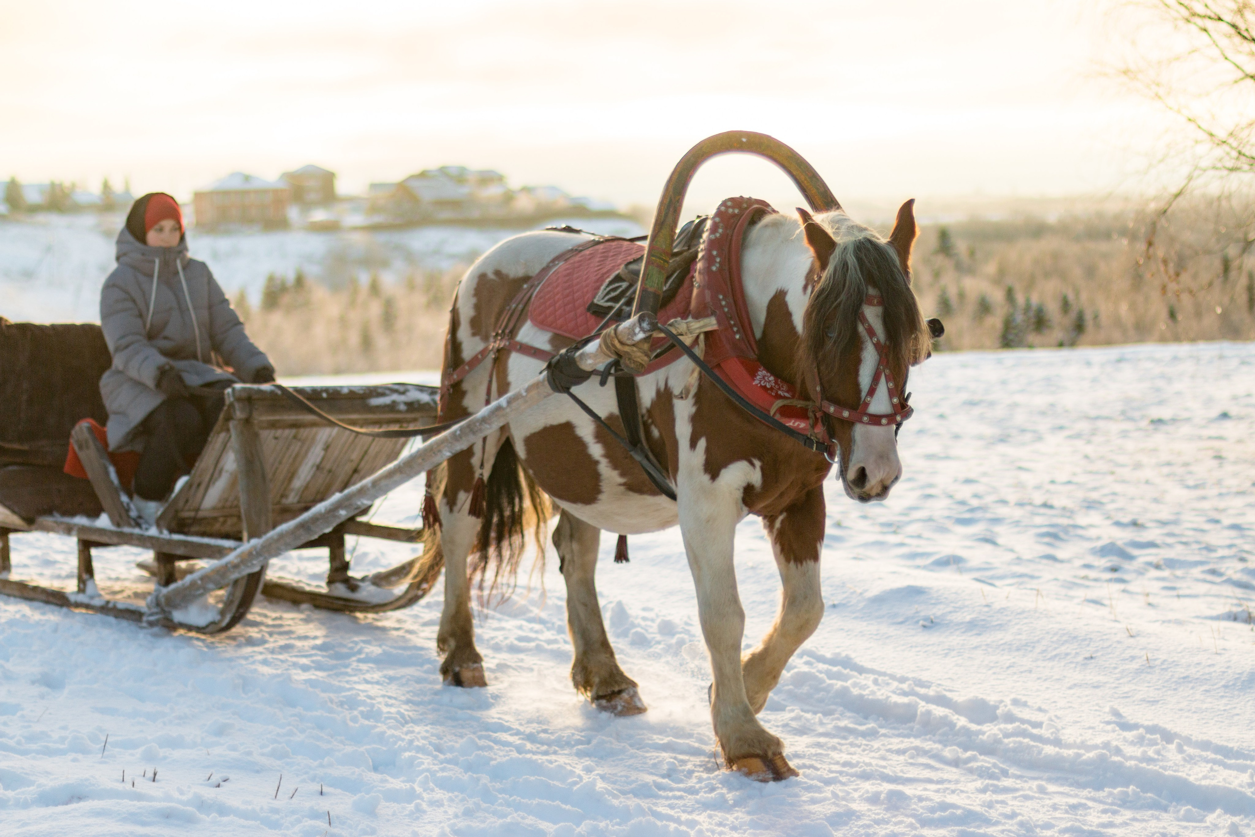 Русский Север, Малые карелы. Фотограф в Сочи