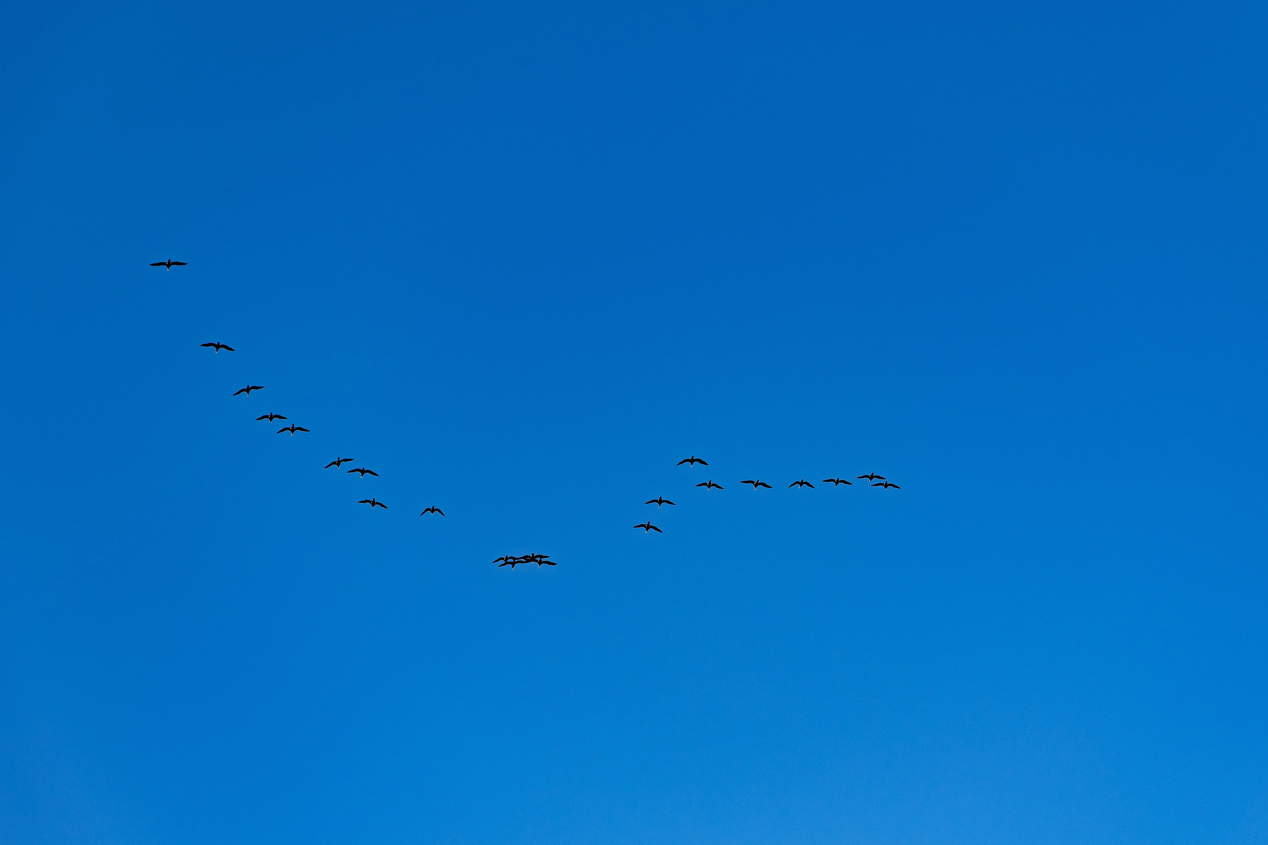АРХИТЕКТУРА / ОКРУЖАЮЩАЯ СРЕДА. Фотосъёмка Сочи, Адлер, Красная Поляна