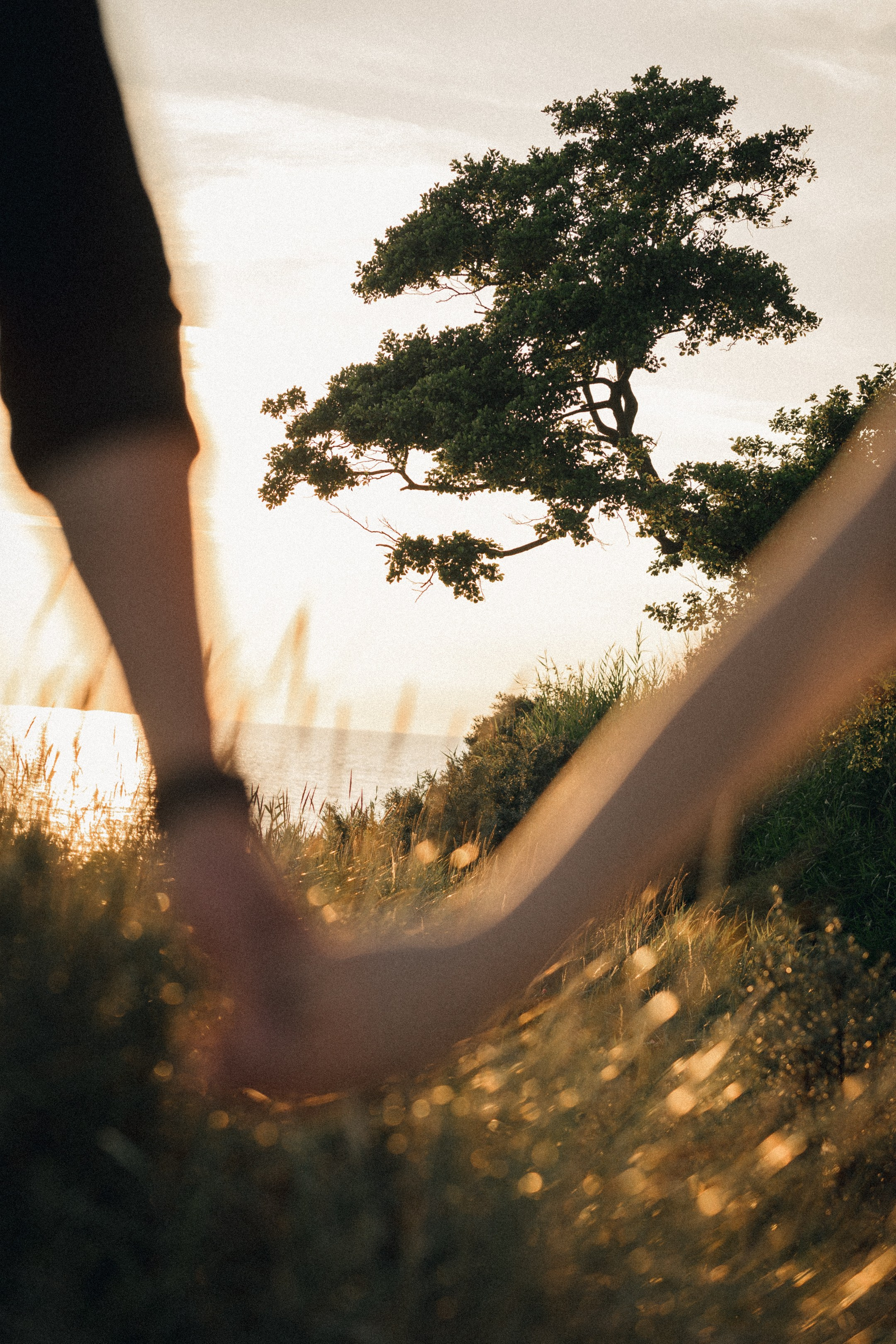 Ольга и Андрей. Свадебный и портретный фотограф в Калининграде и Москве Марк Юдинцев