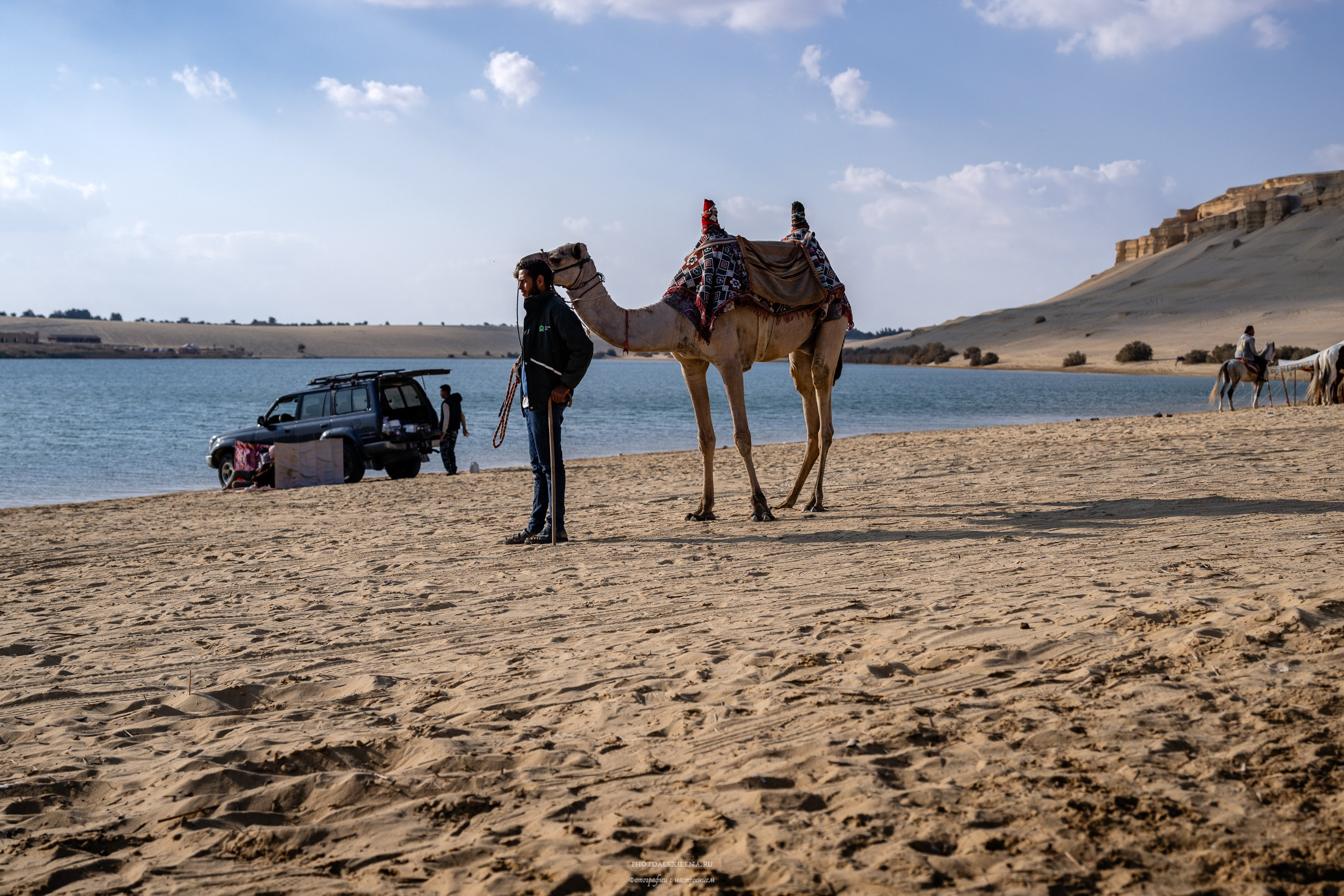 Снова в пустыню, за скелетами…. Авторские стильные фотокартины