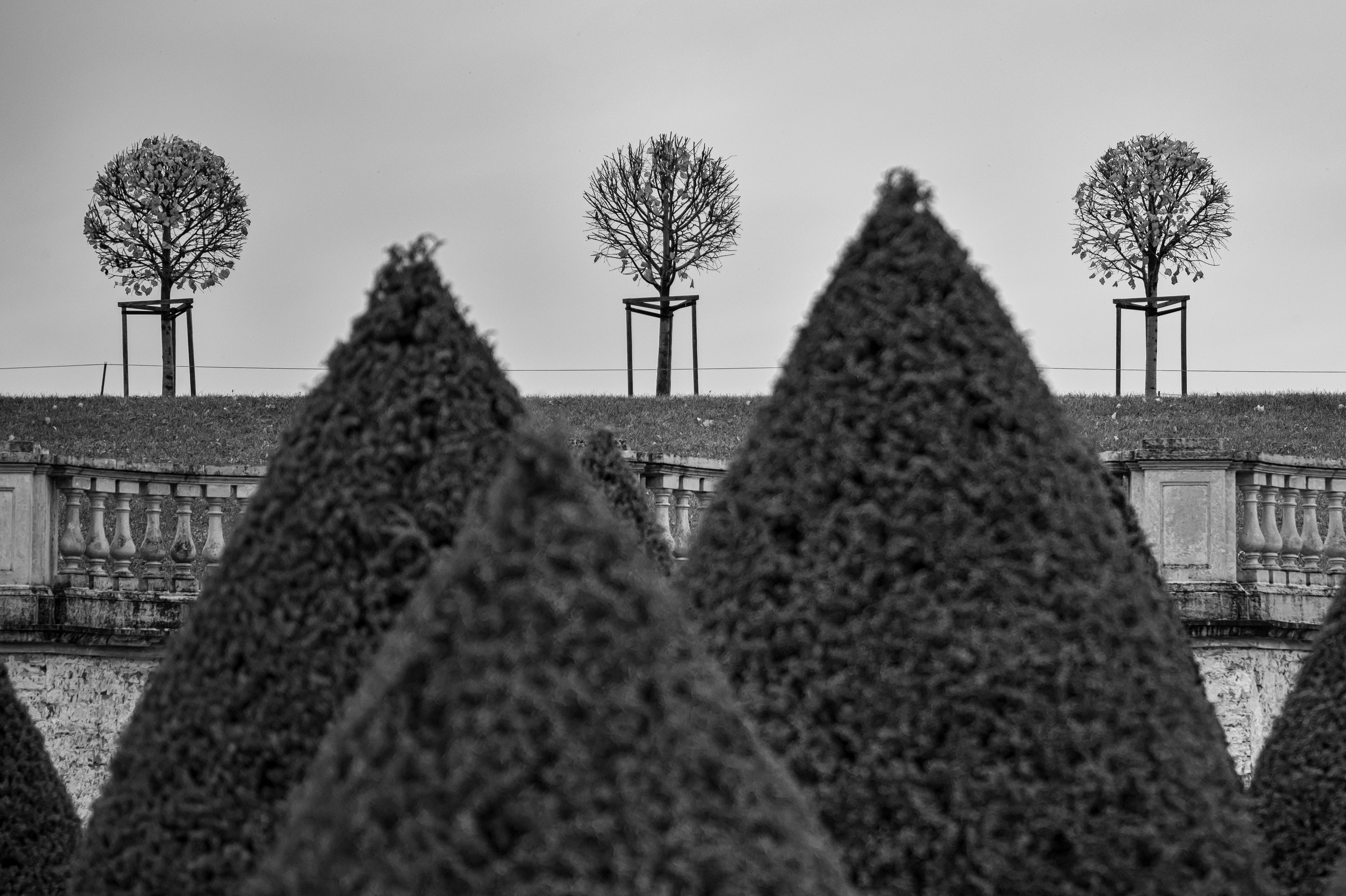 Abstraction. Dimitri Bakhtadze photographer