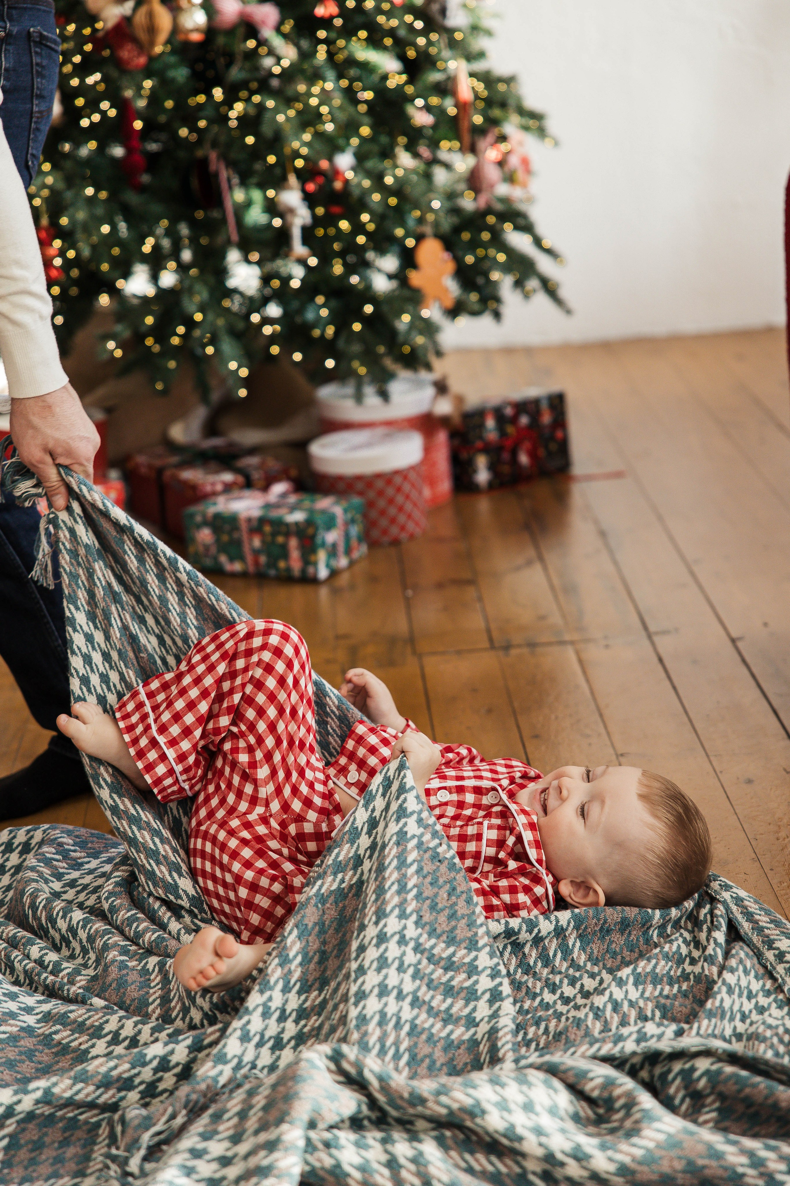 Маленький Лев. Главная